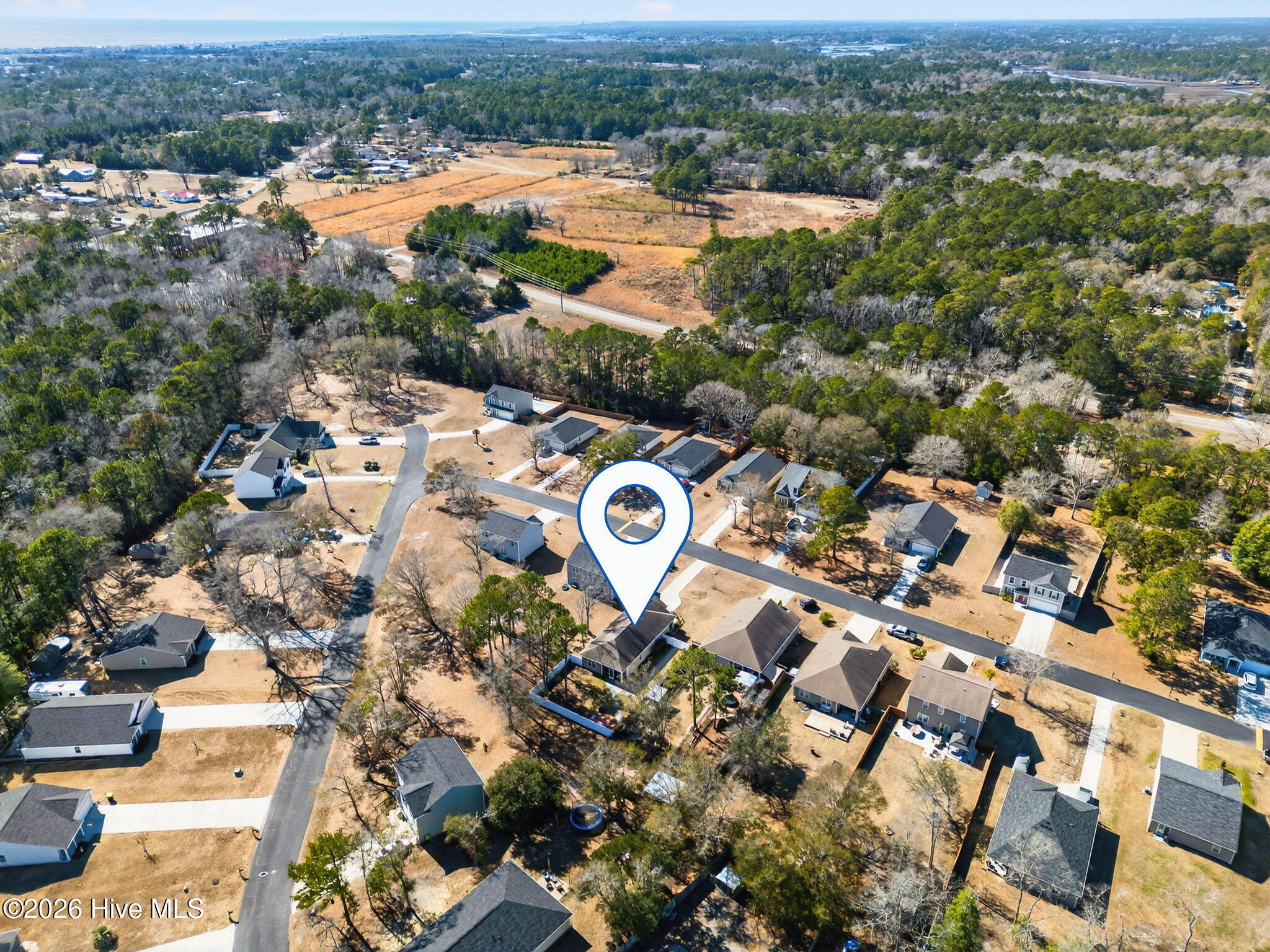 100555390 | Photo 42