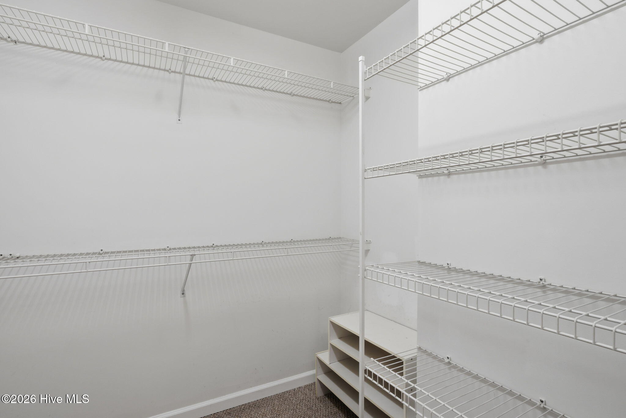 100551070 | Photo 24