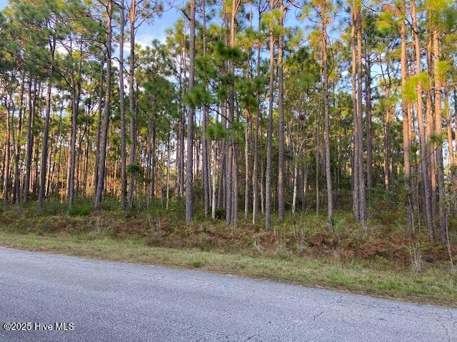 Homes for sale in Boiling Spring Lakes, NC | 23 Lexington Rd, Boiling Spring Lakes, NC 28461 | MLS# 100531207