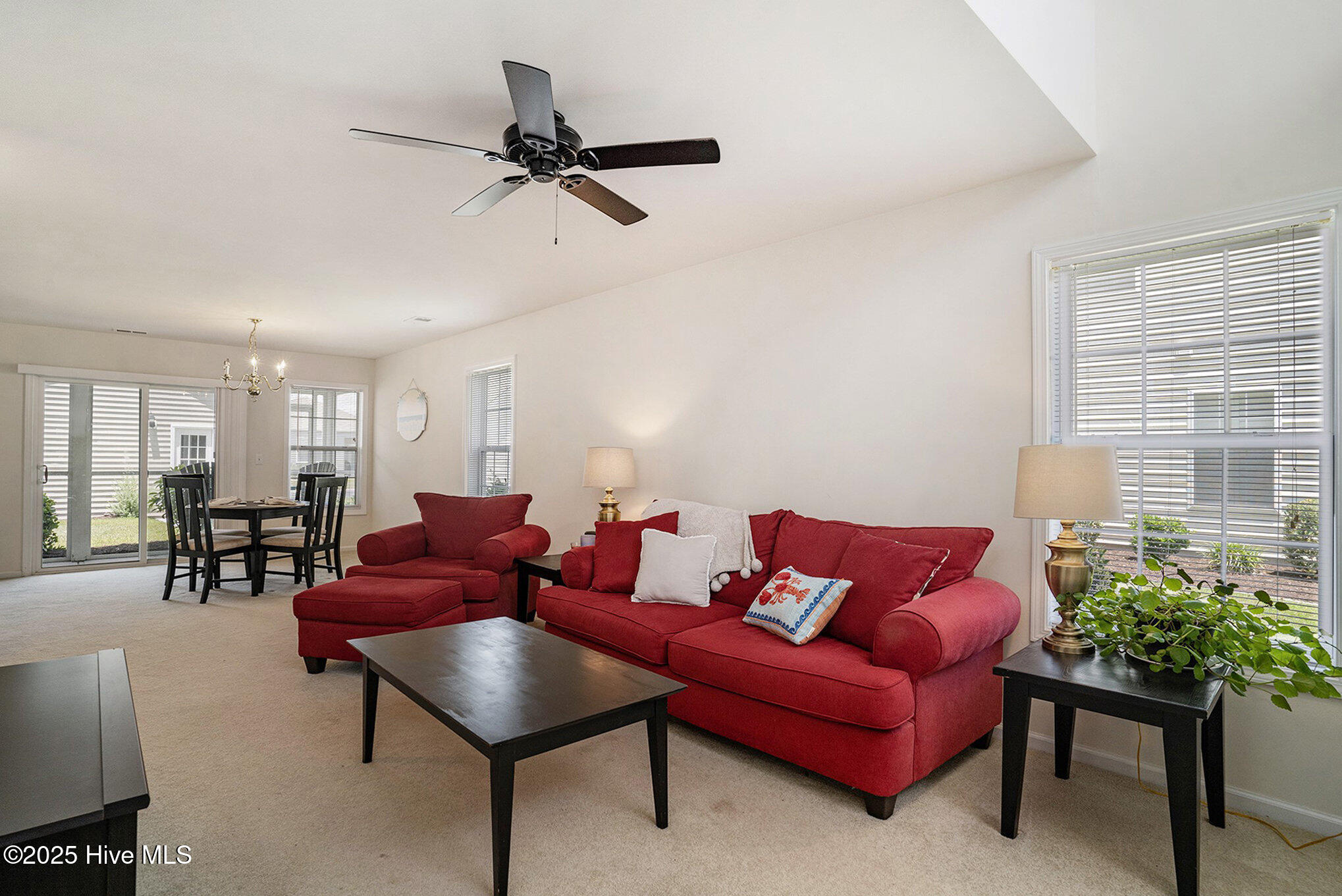 100520247 | Photo 11