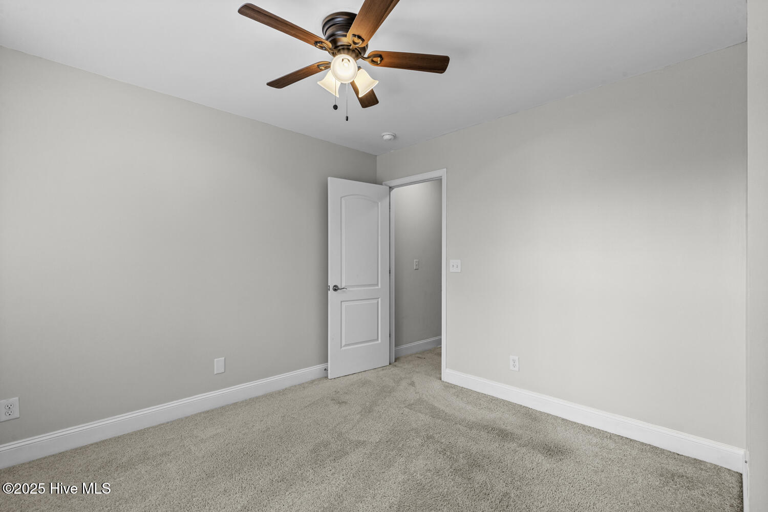 100533830 | Photo 19