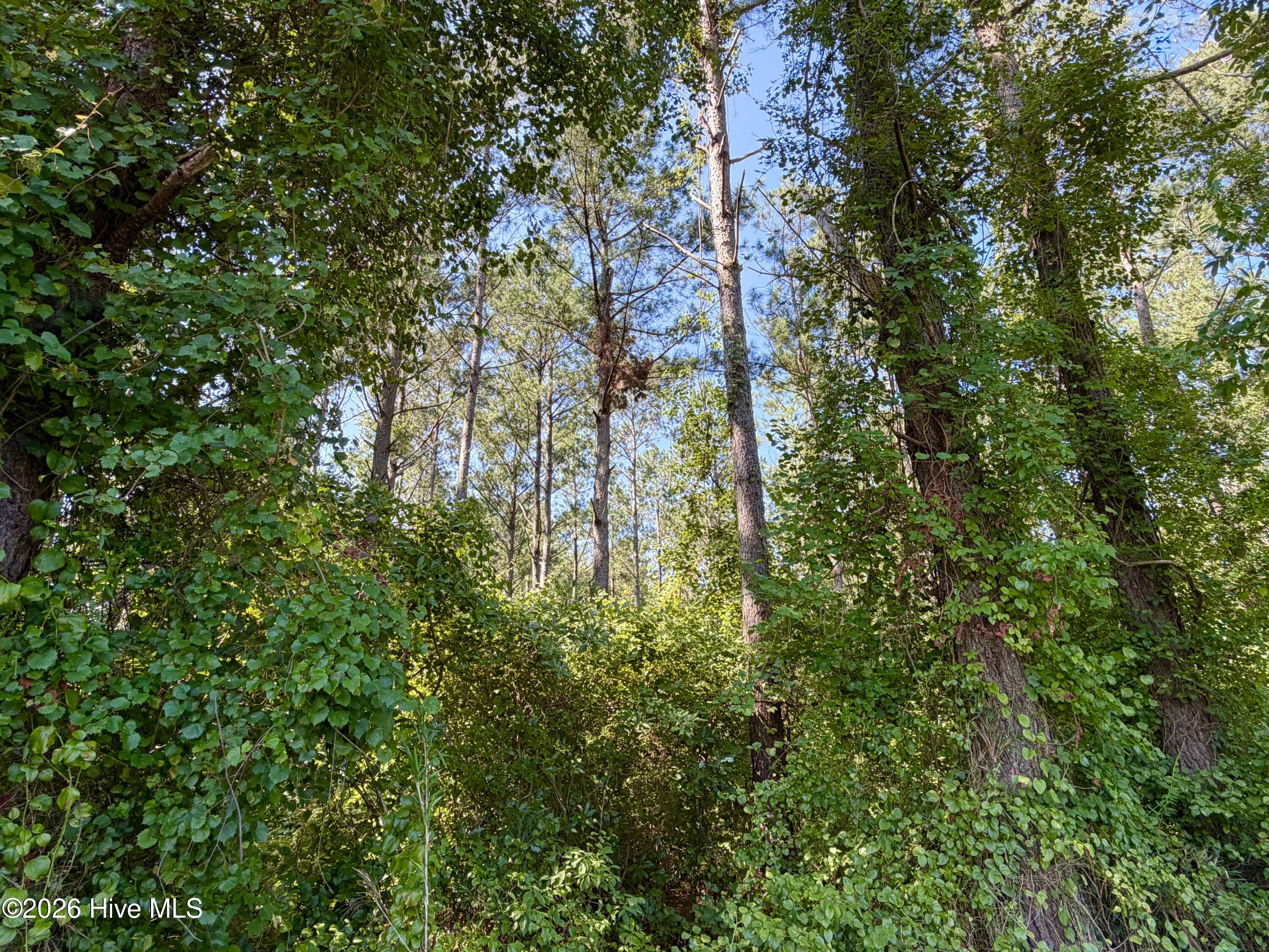 0 Cedar Fork Road,Beulaville