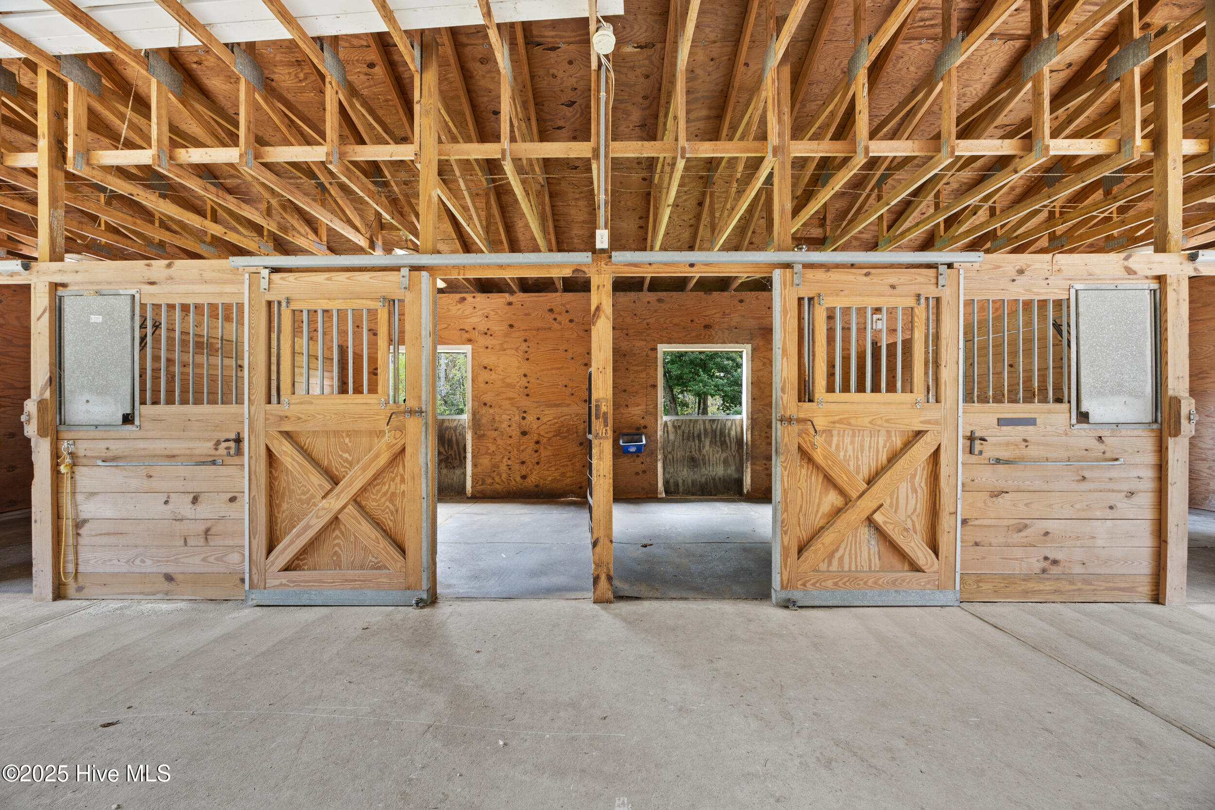 100538720 | Photo 82