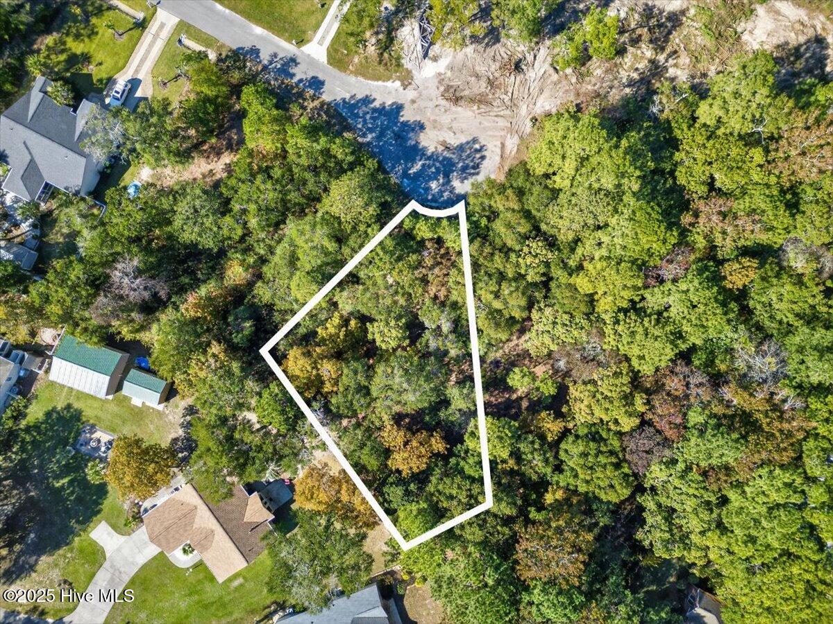 100540070 | Photo 10