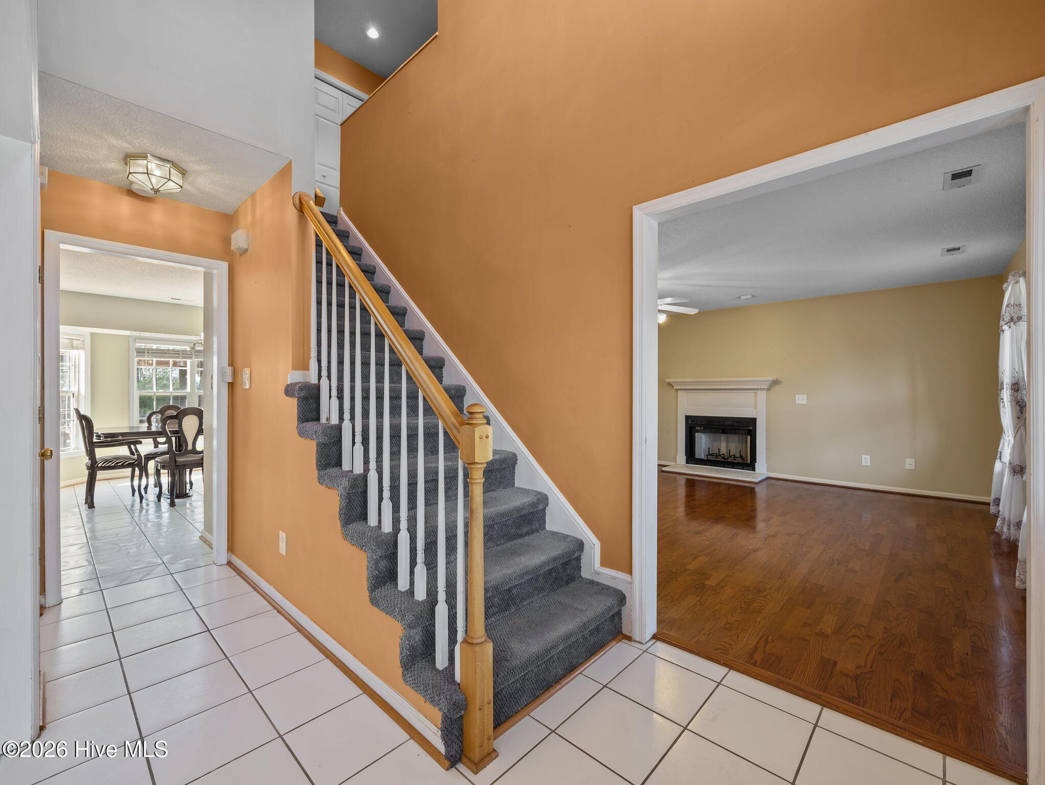 100565135 | Photo 17