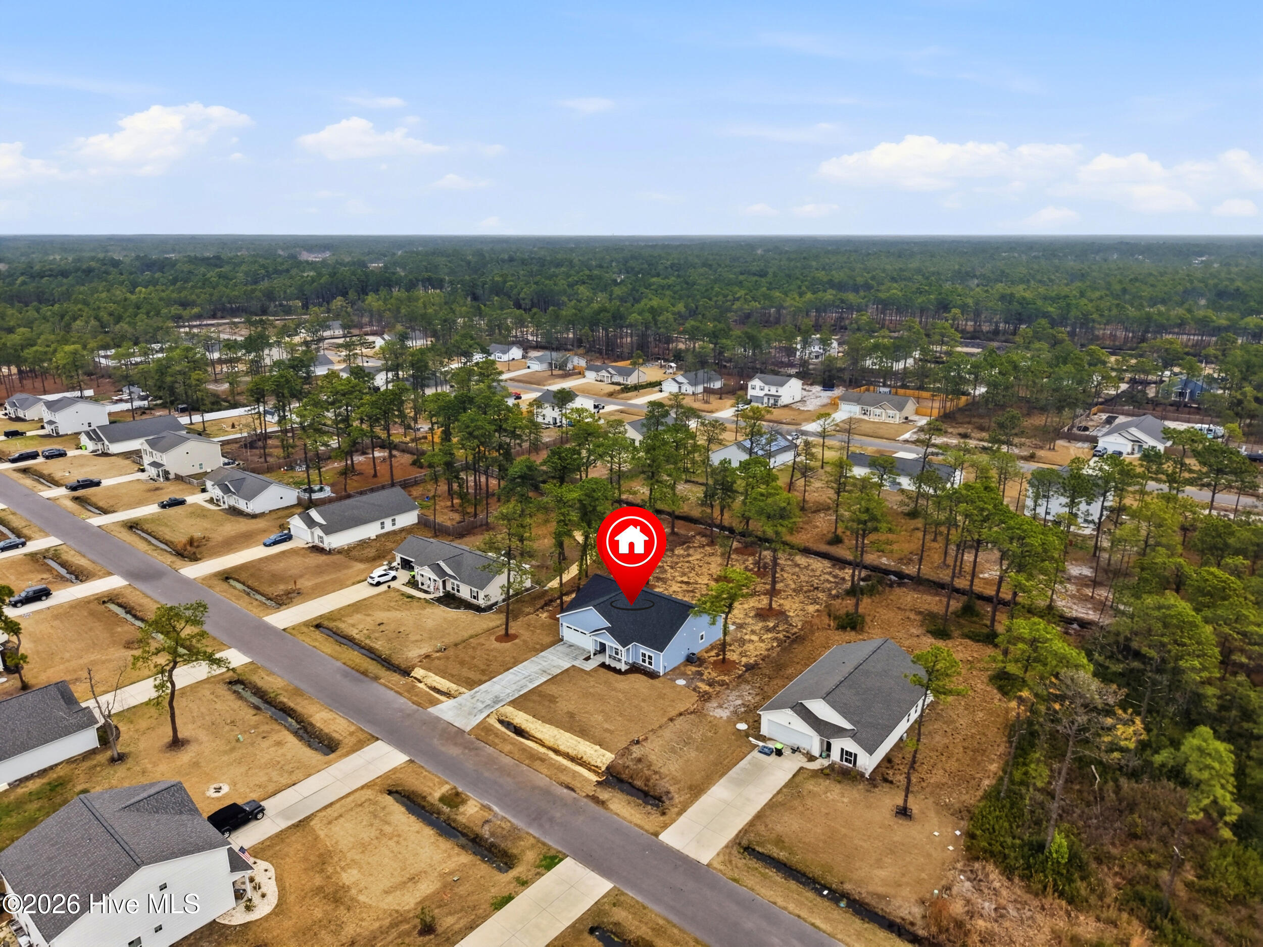 100558346 | Photo 36