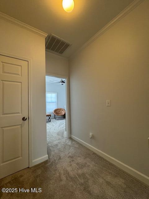 100499994 | Photo 14