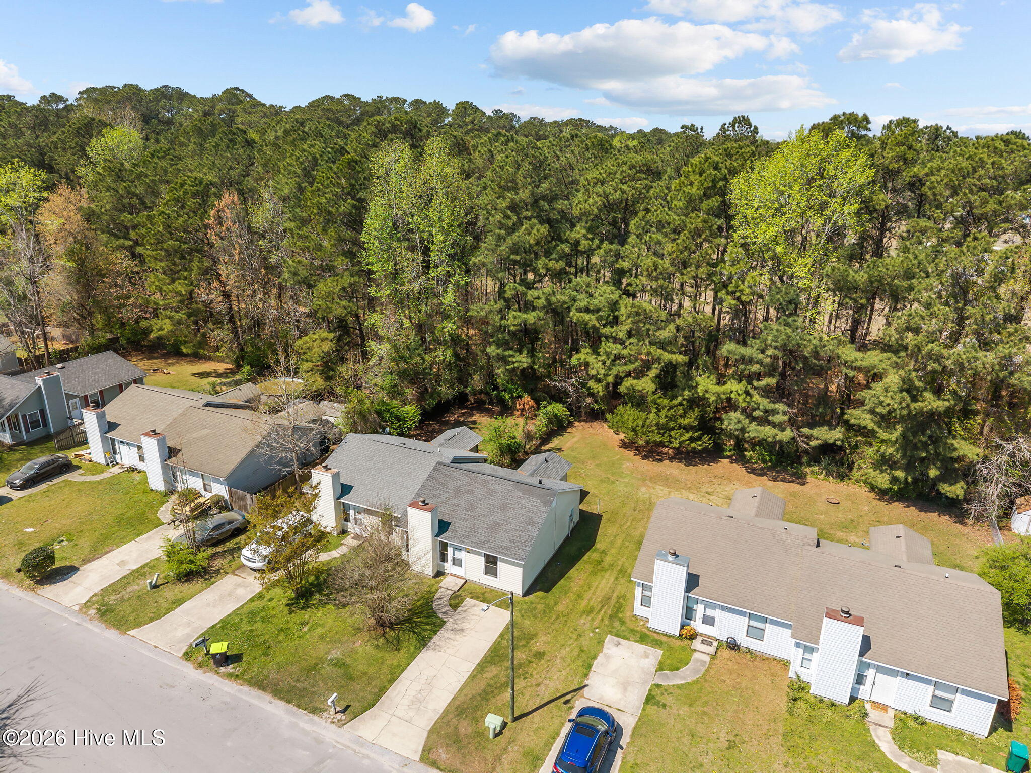 100563578 | Photo 33