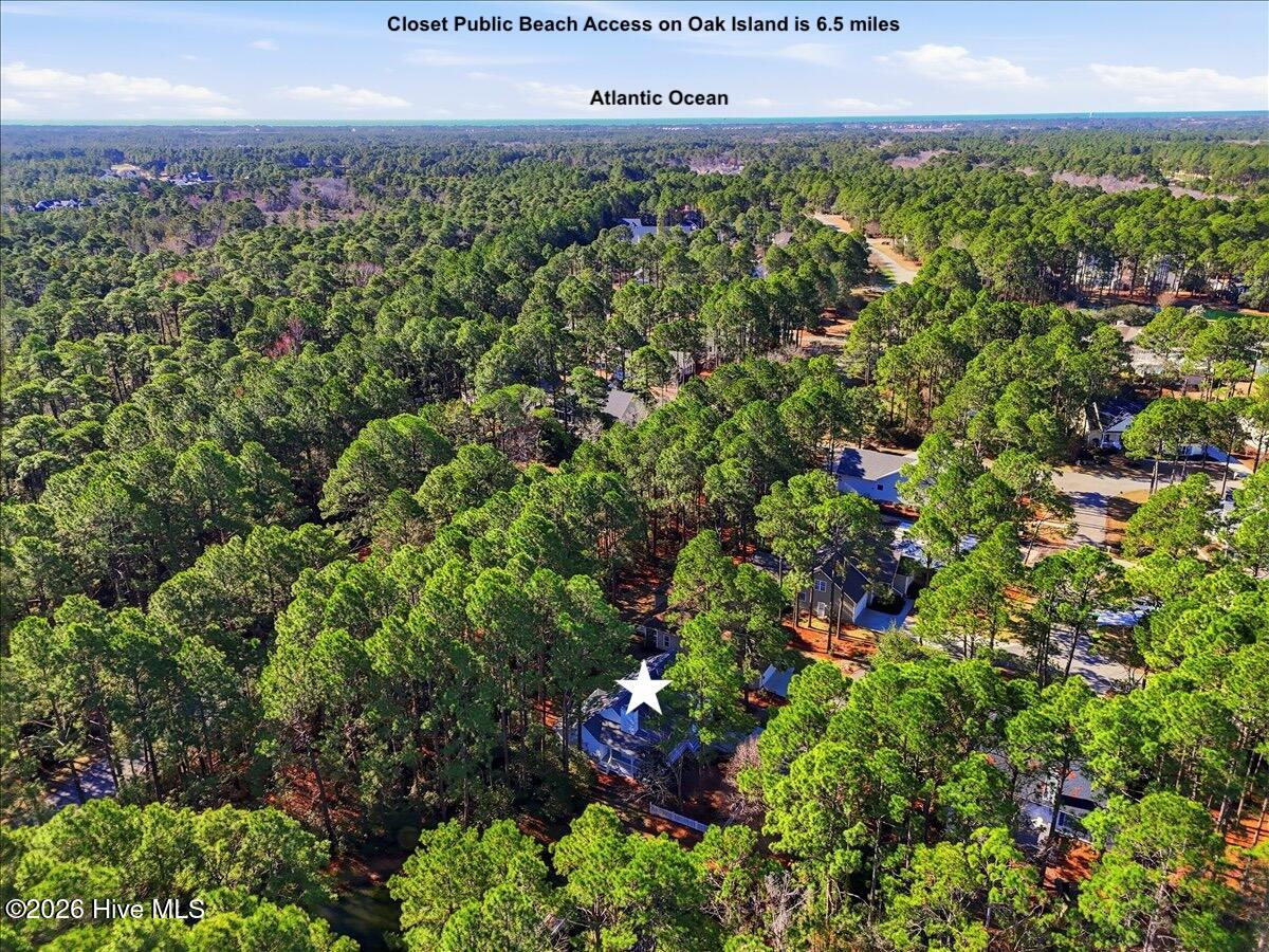 100556413 | Photo 59