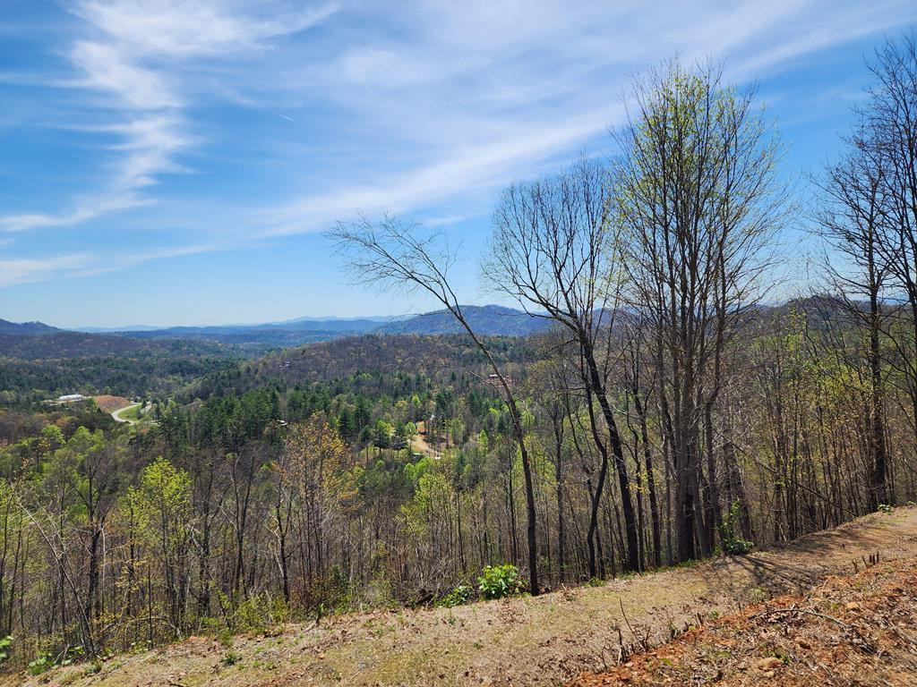 Listing Photo 98524872