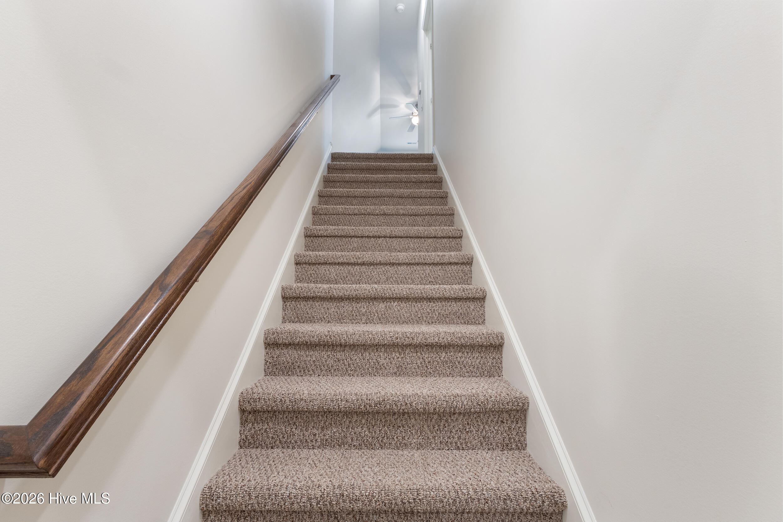 100556114 | Photo 19