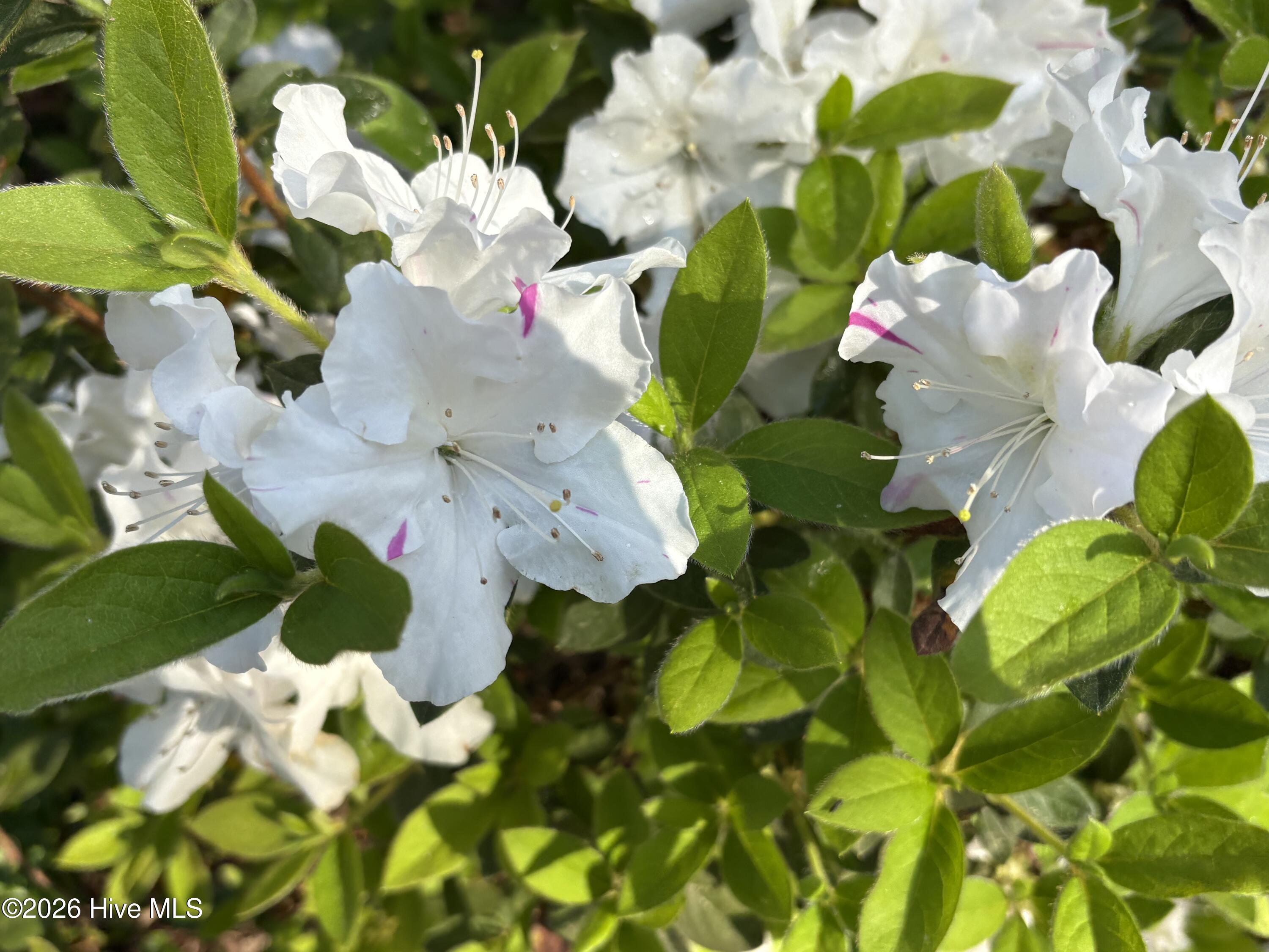 100553841 | Photo 67