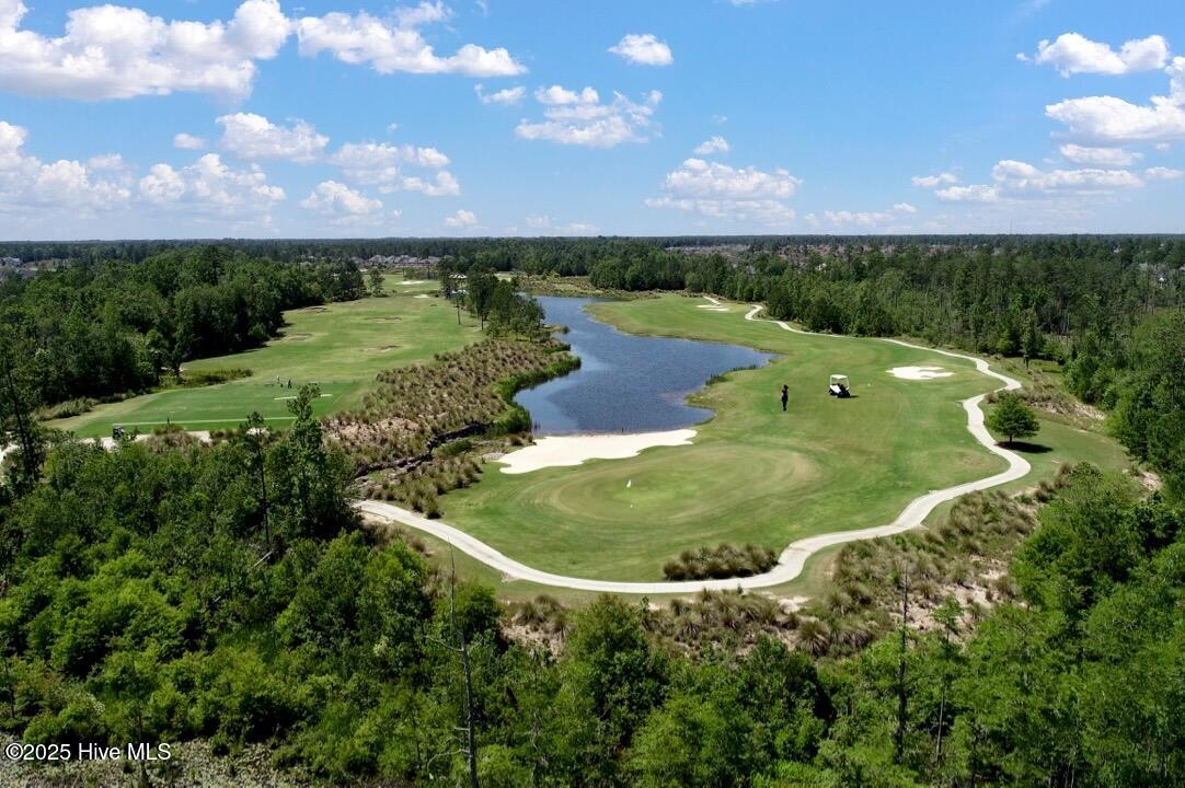 100538453 | Photo 42