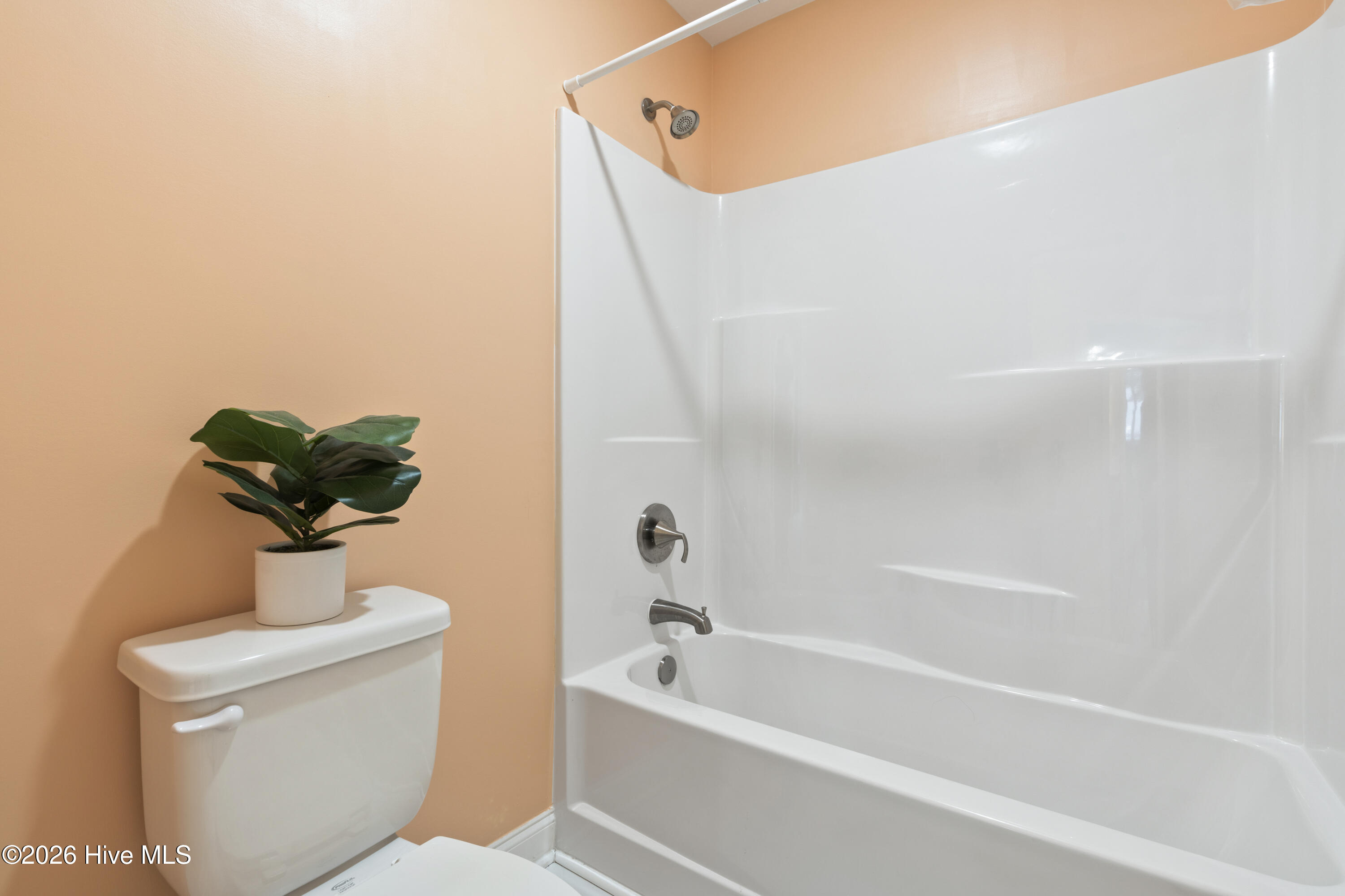 100564295 | Photo 46