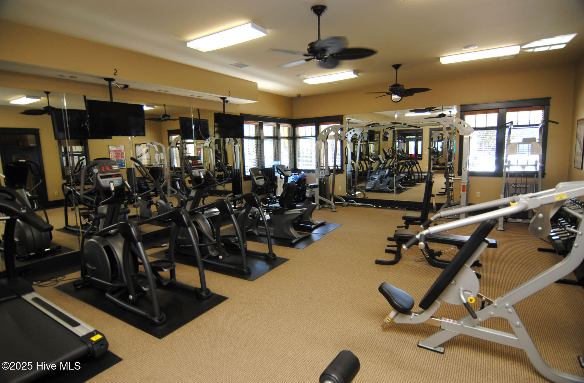 100536723 | Photo 59