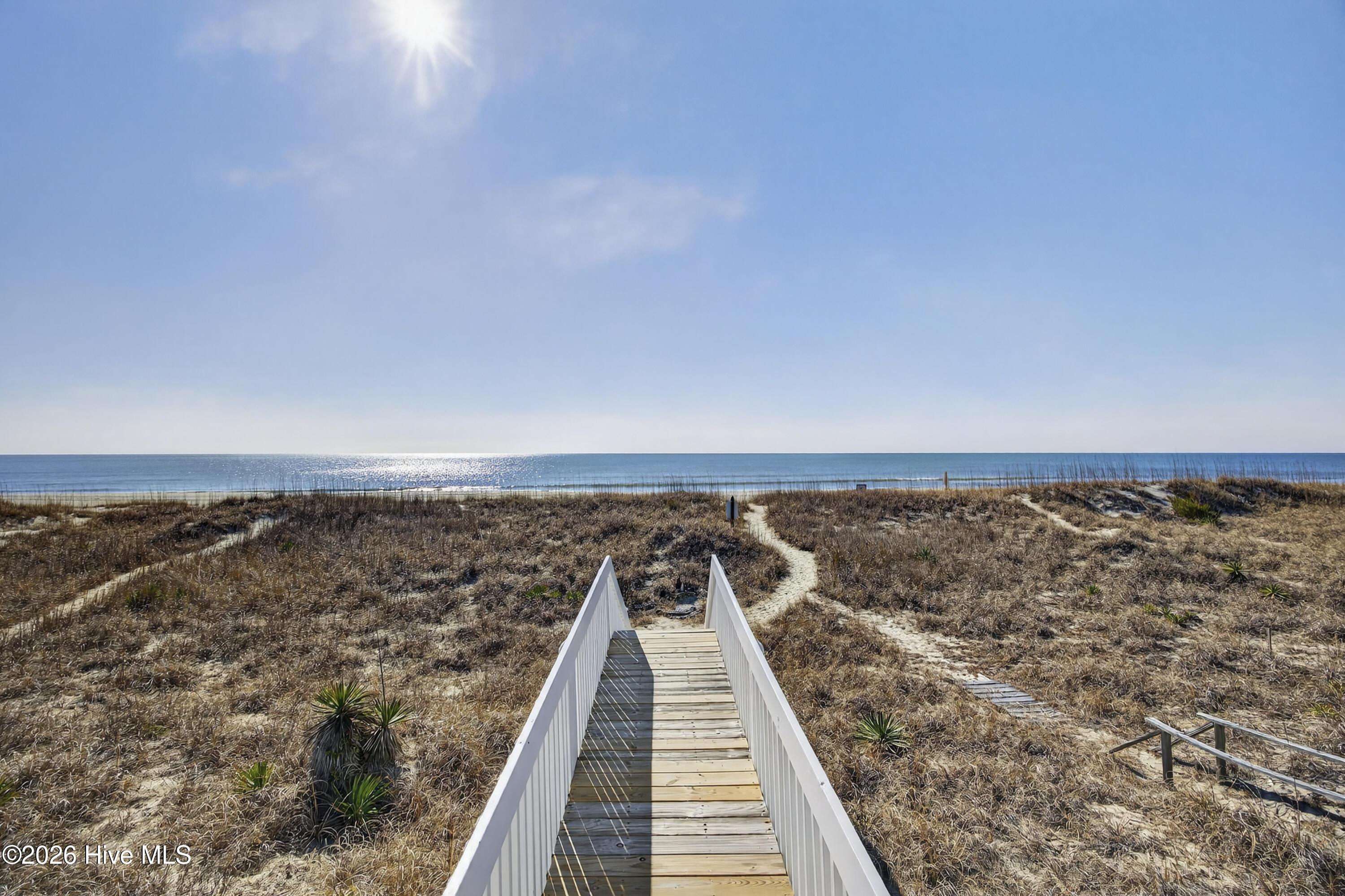 100554981 | Photo 45