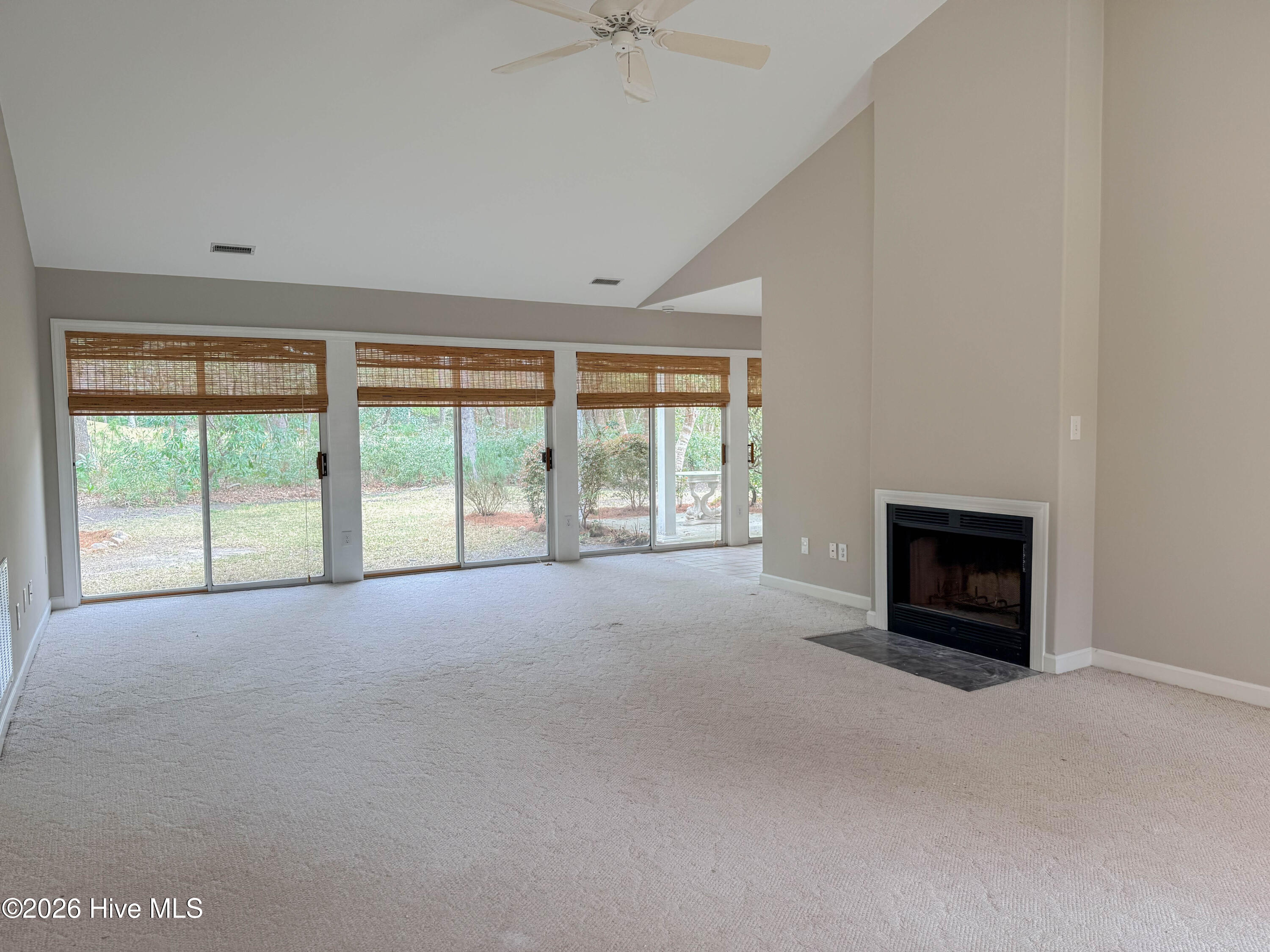 100562741 | Photo 12