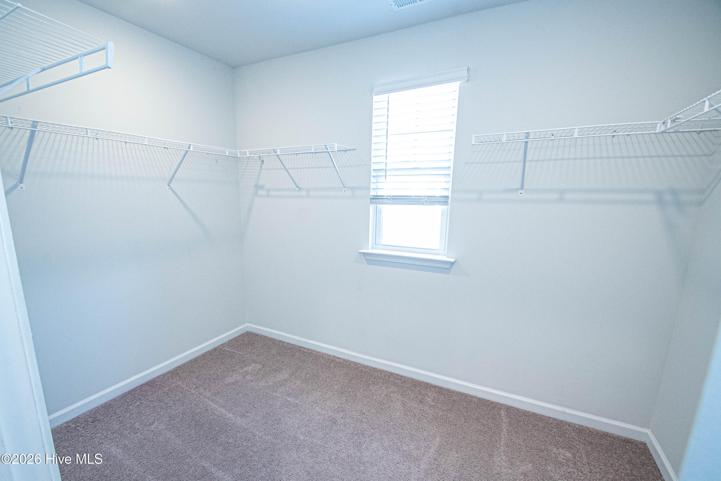 100553957 | Photo 42