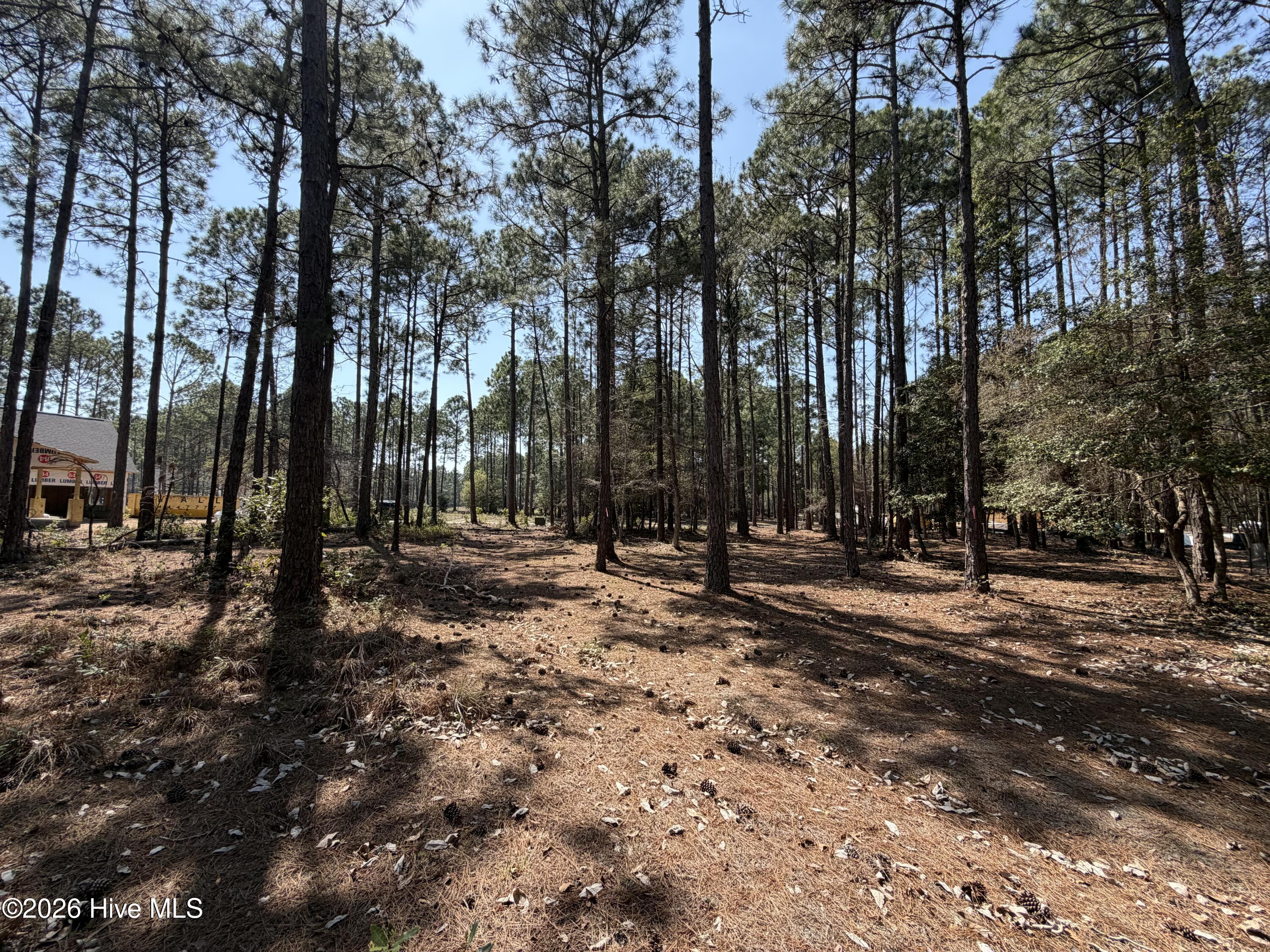 6786 Holton Place, Ocean Isle Beach, NC, 28469