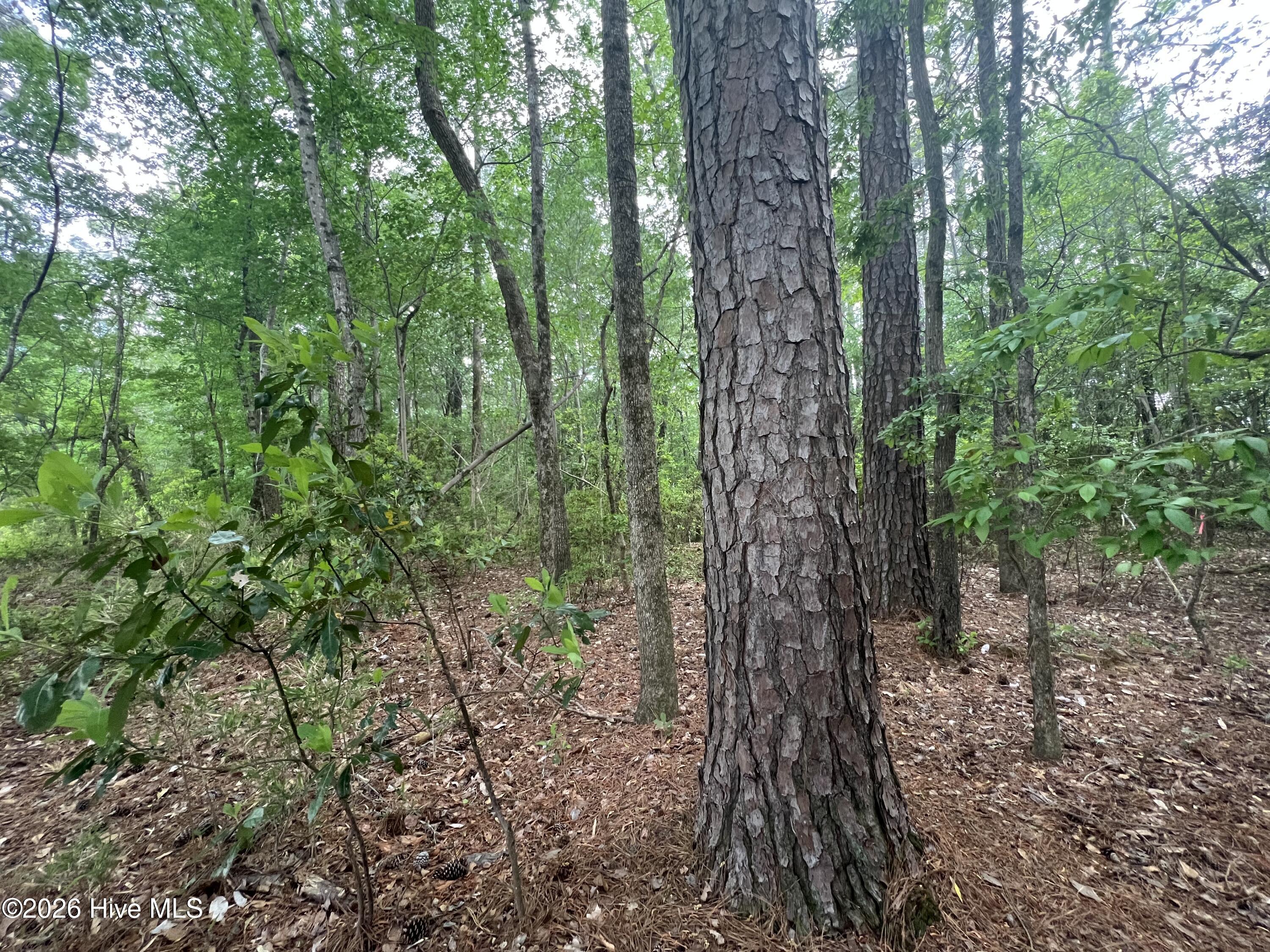 4599 Nc-30, Stokes, NC, 27884