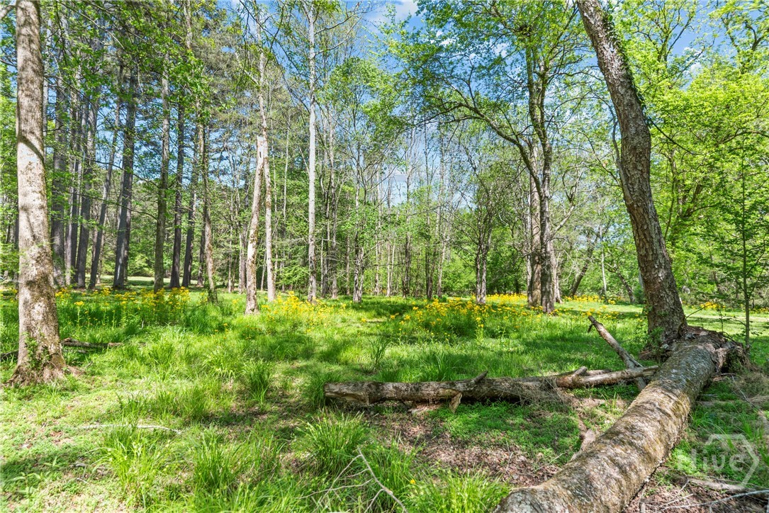 599 Double Branch Road, Danielsville, GA, 30633