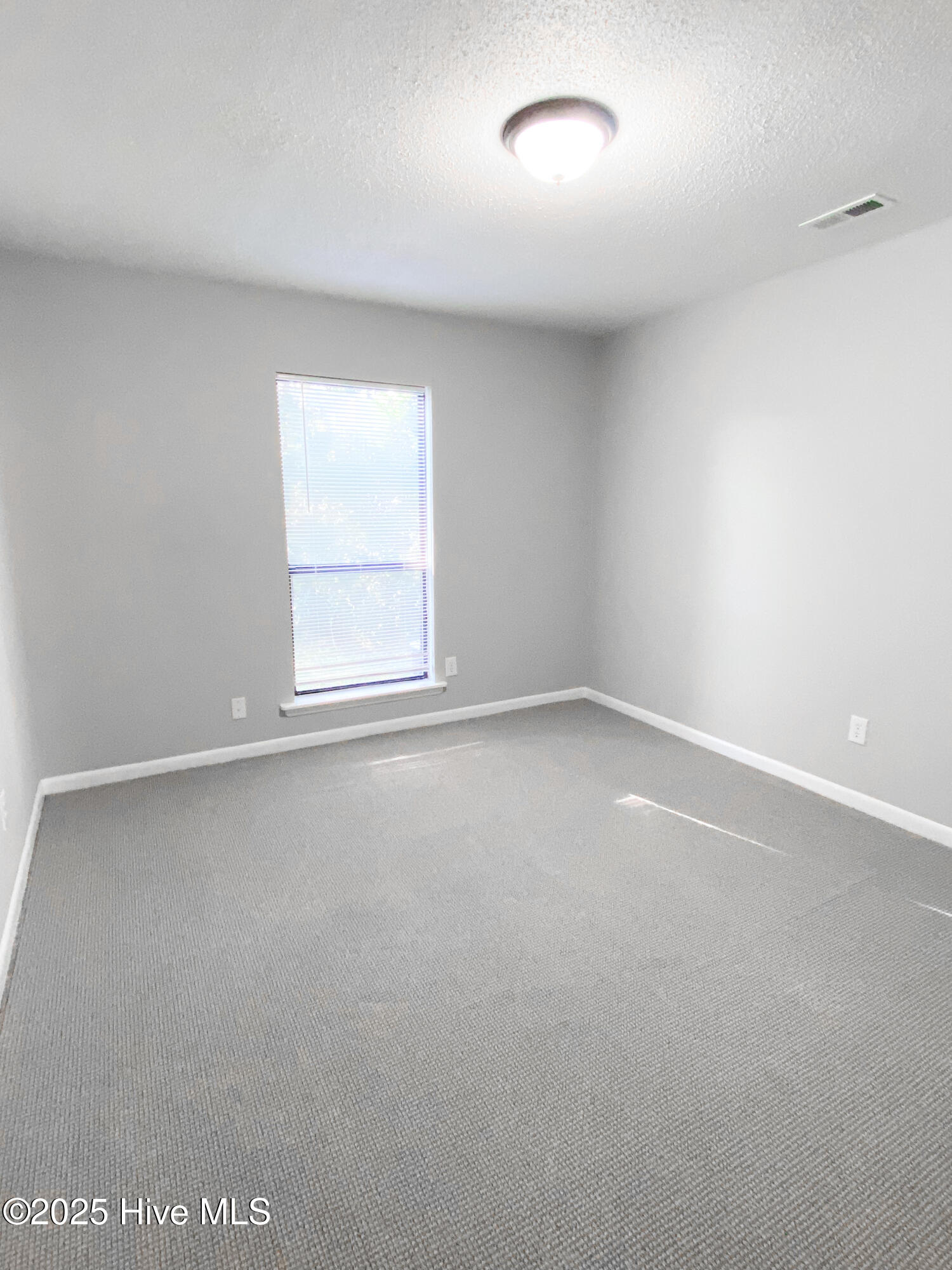 100540846 | Photo 11