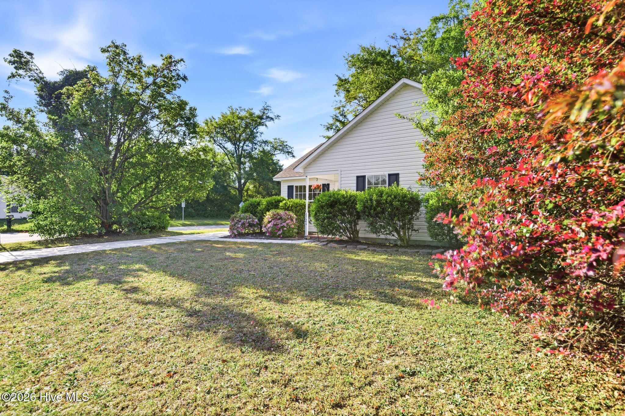 100567246 | Photo 24