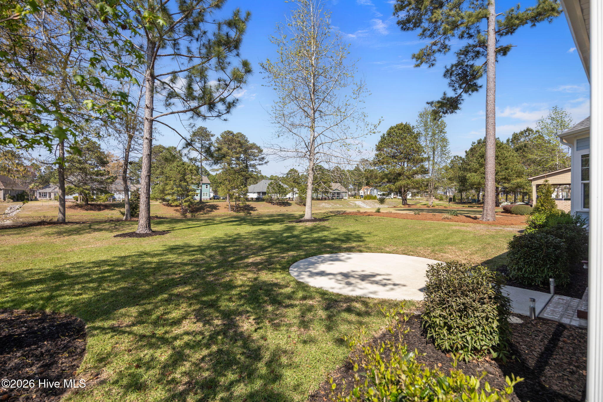 100563731 | Photo 55