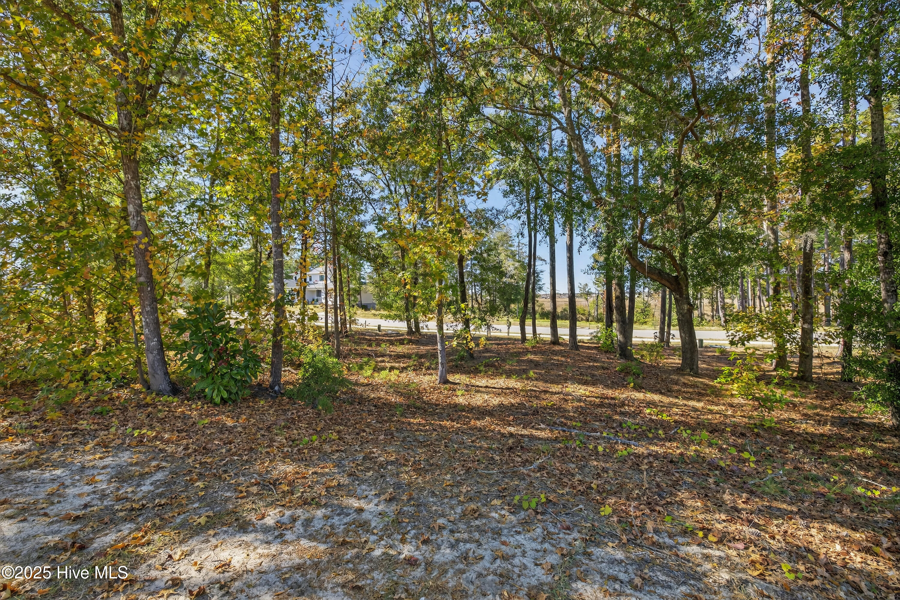 100541672 | Photo 10