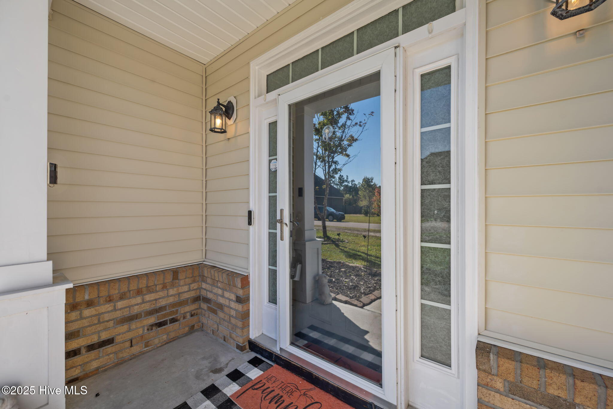 100538914 | Photo 39