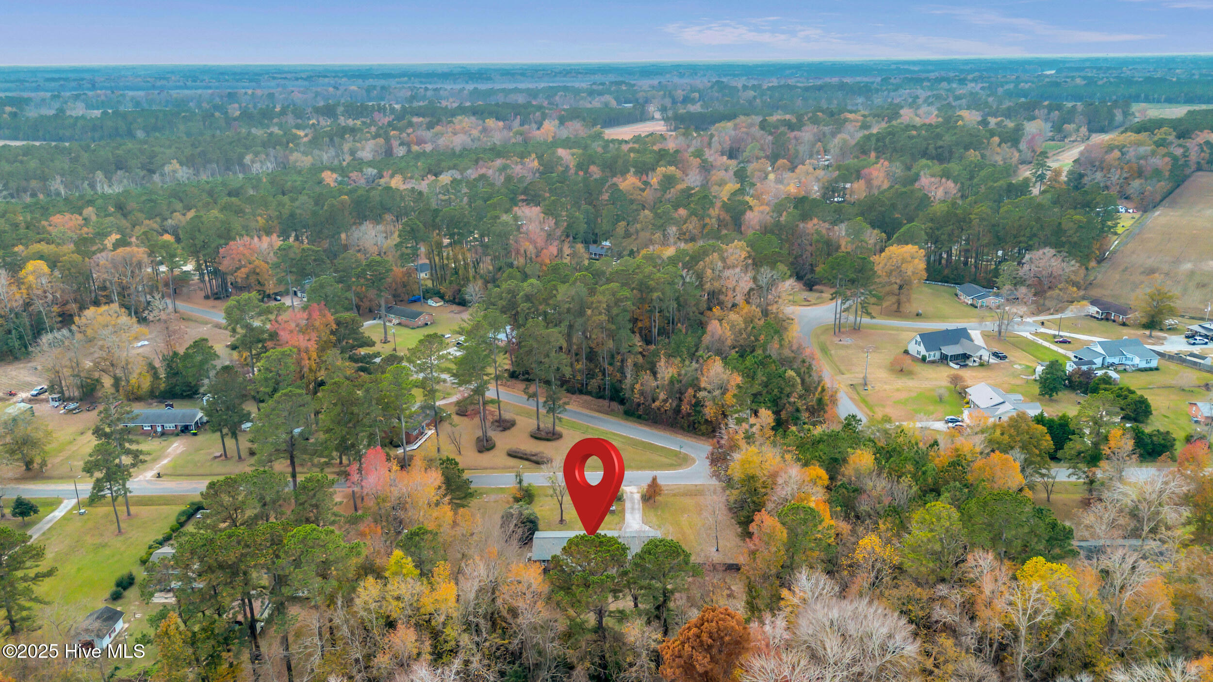 100543256 | Photo 46