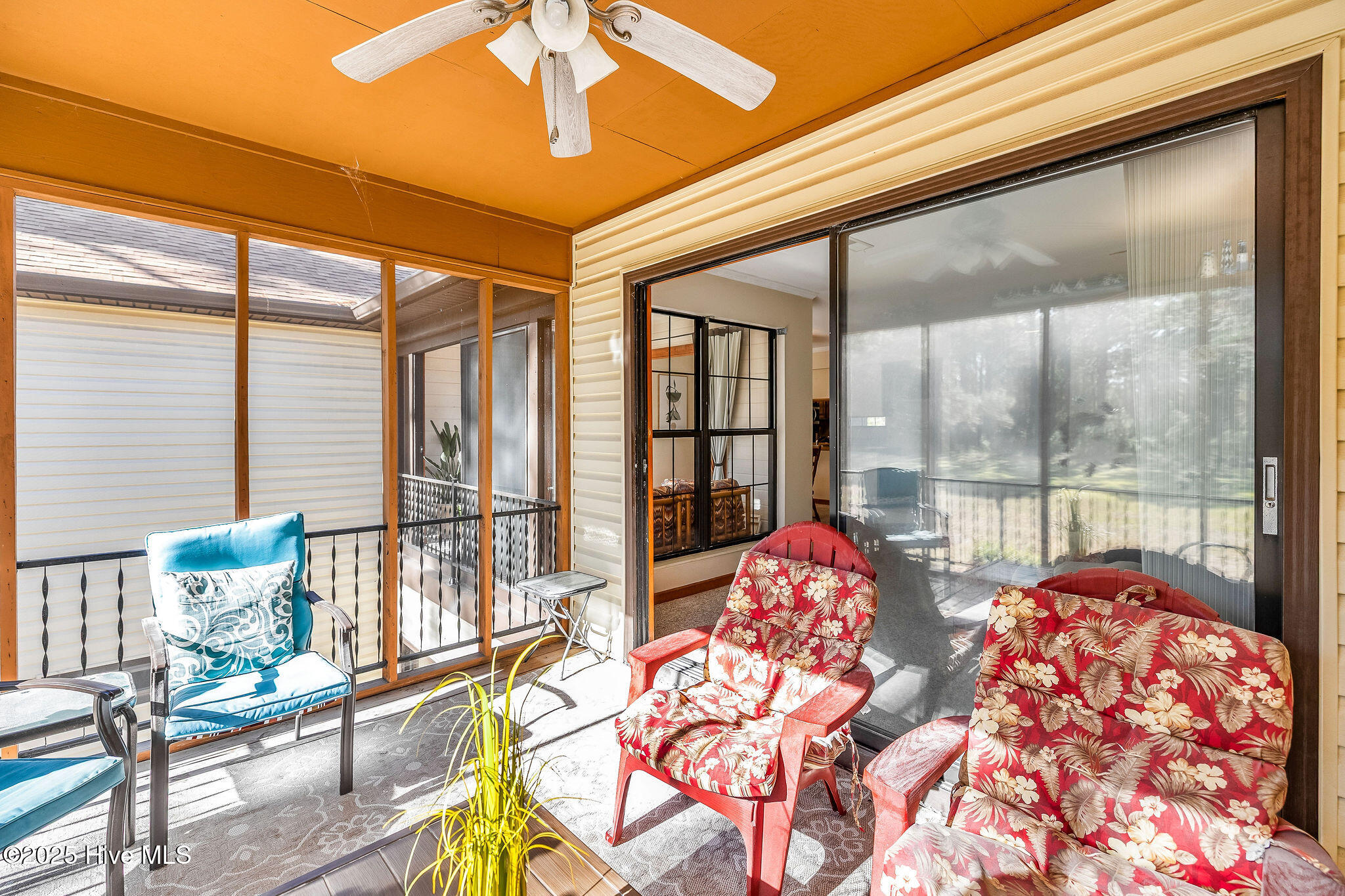 100541732 | Photo 28