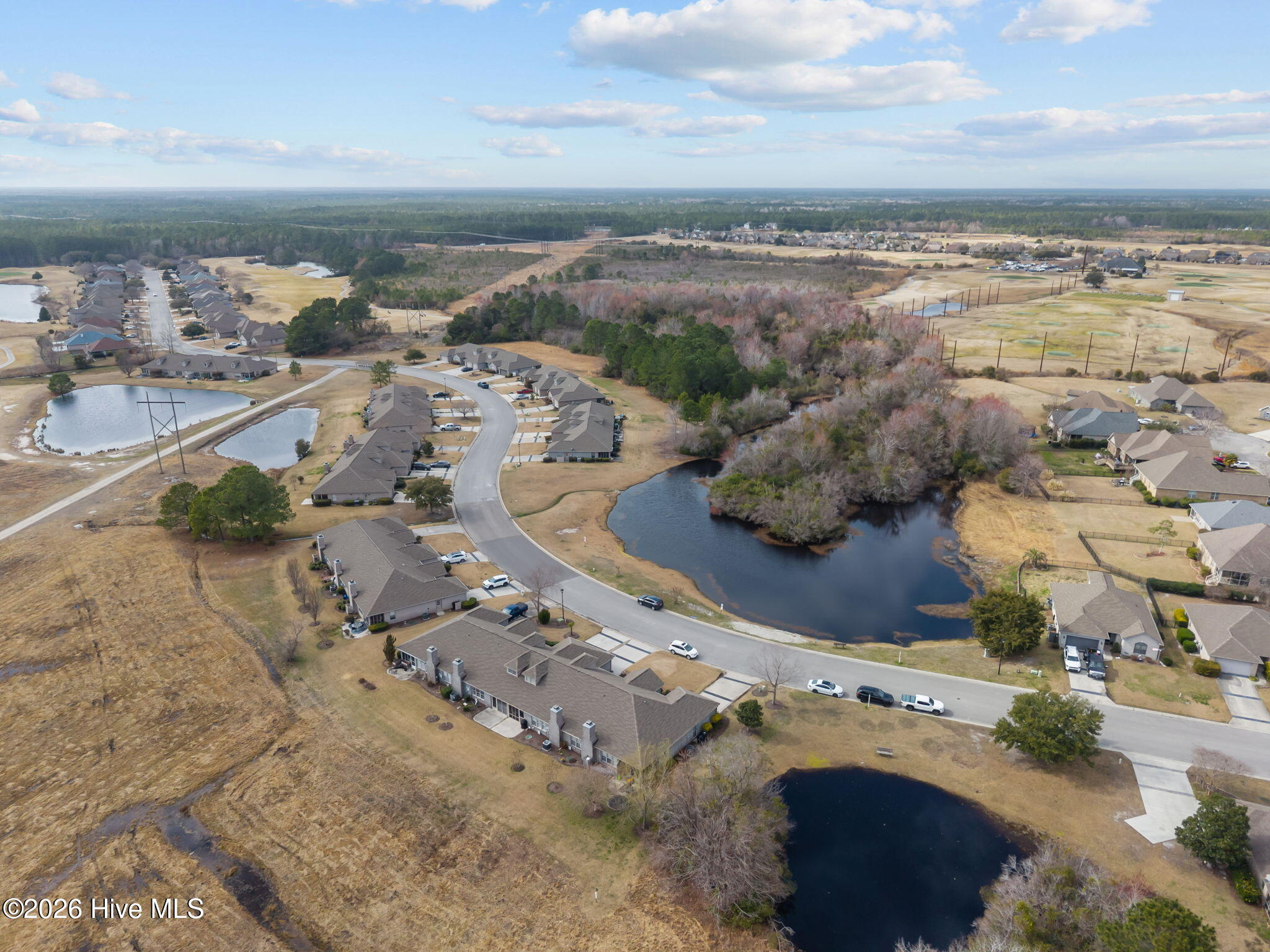 100556733 | Photo 29