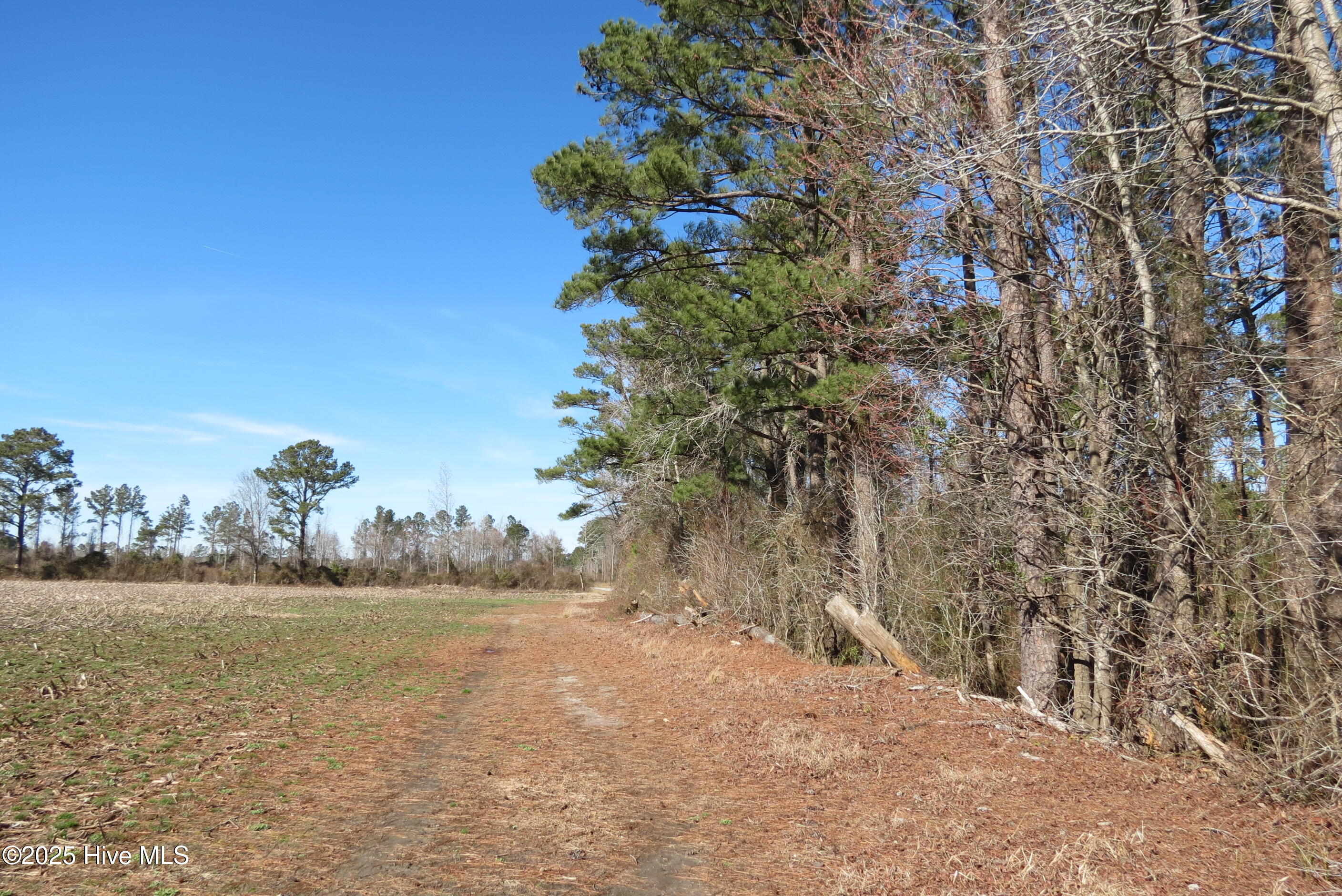 0 Neals Creek Road,Bayboro