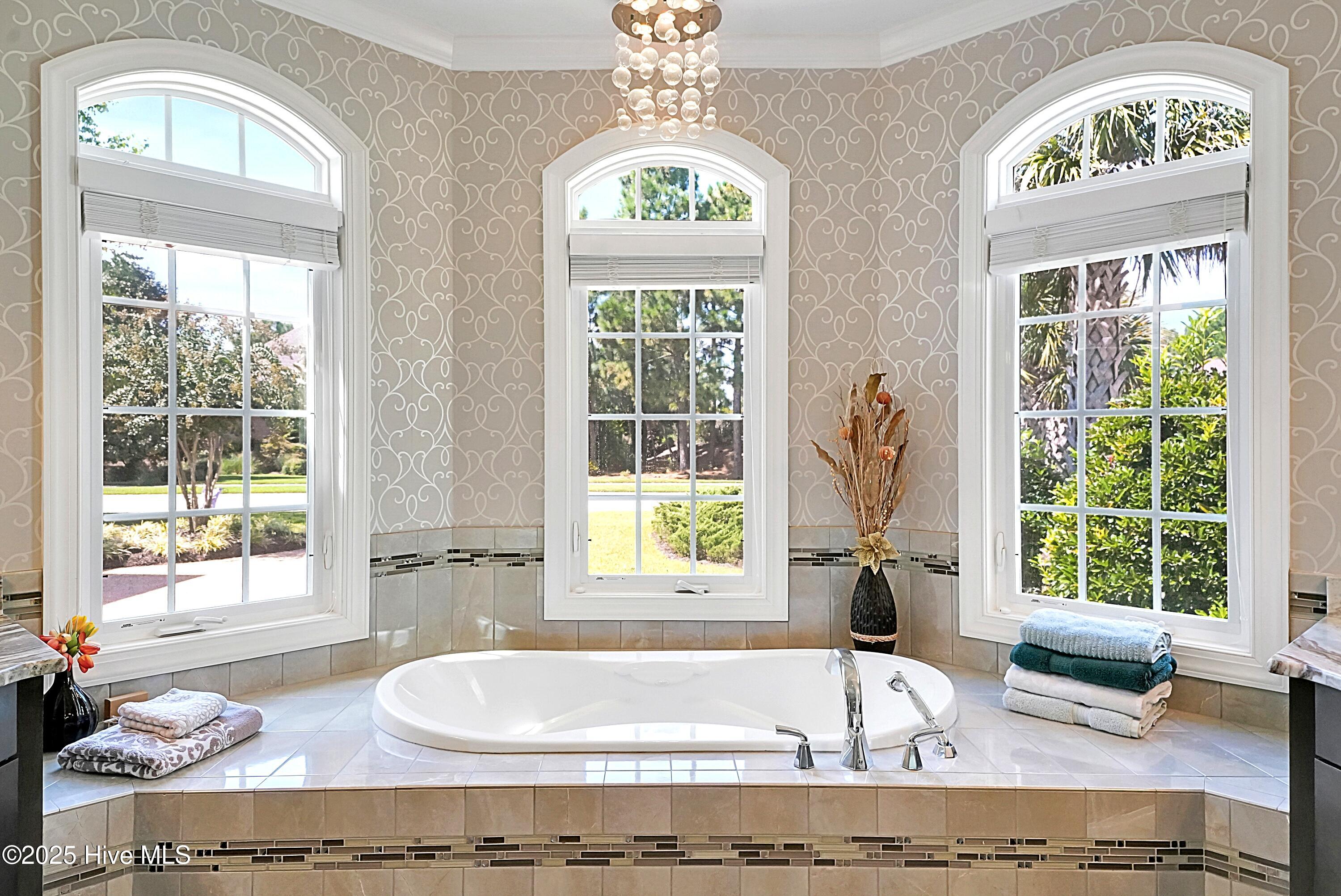 100557169 | Photo 31