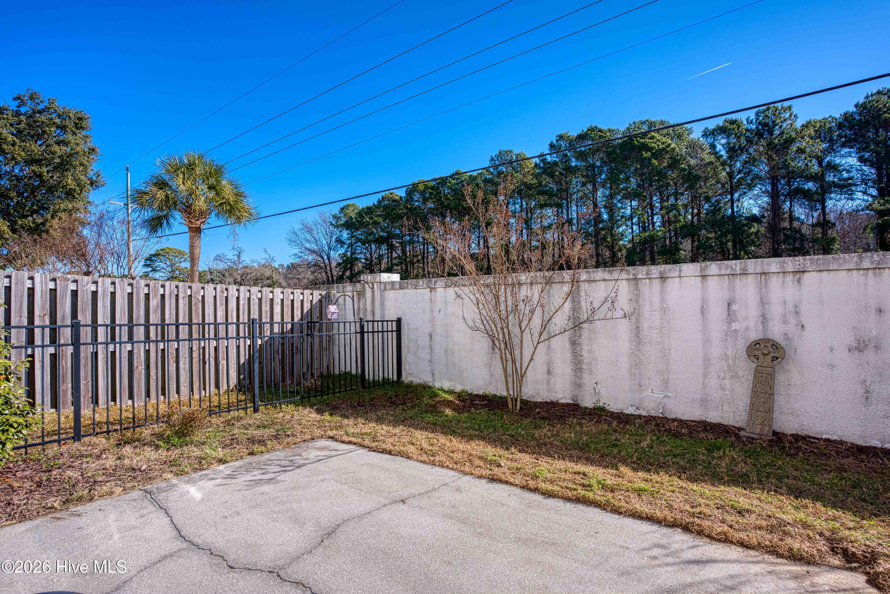 100556231 | Photo 26