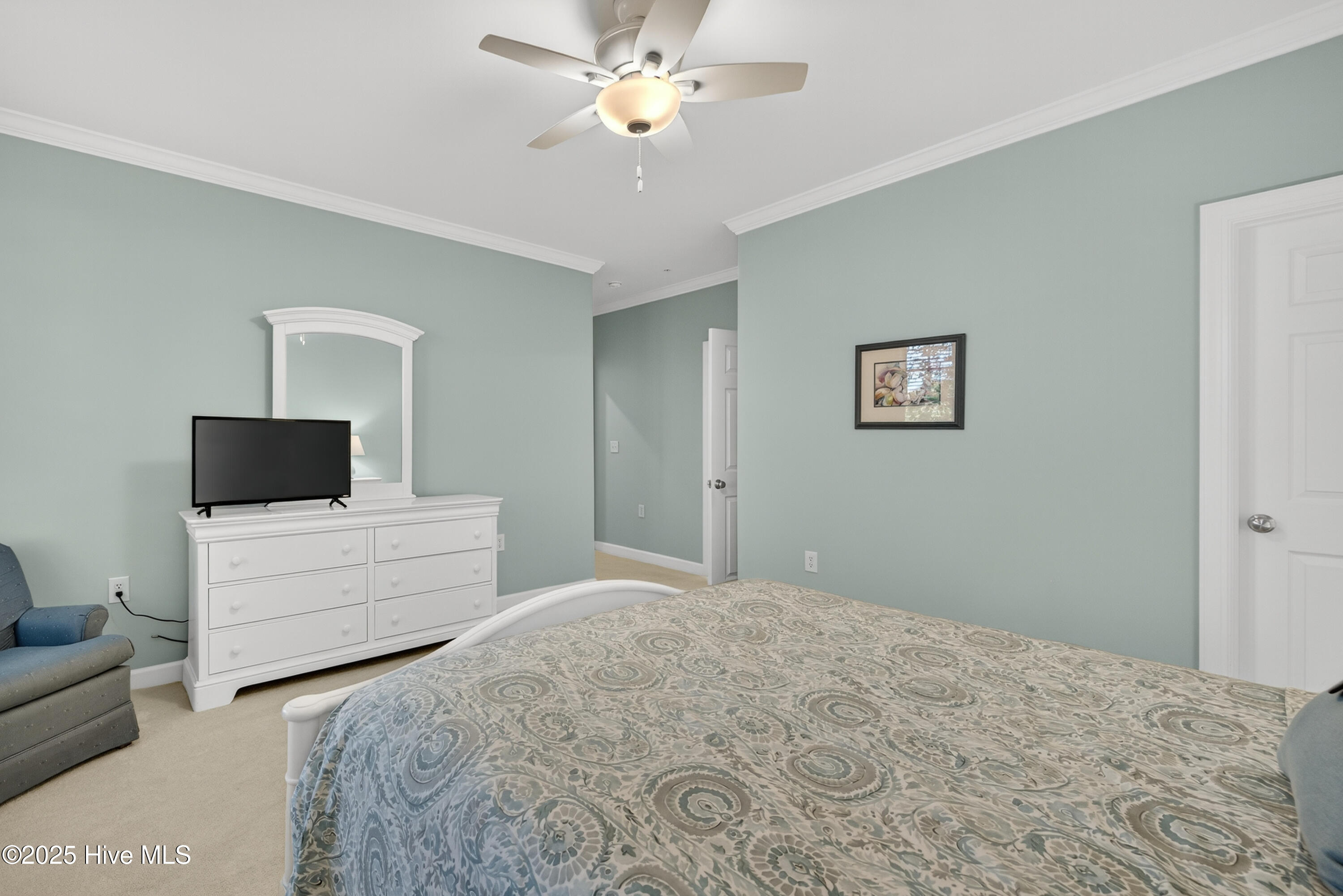 100536723 | Photo 21