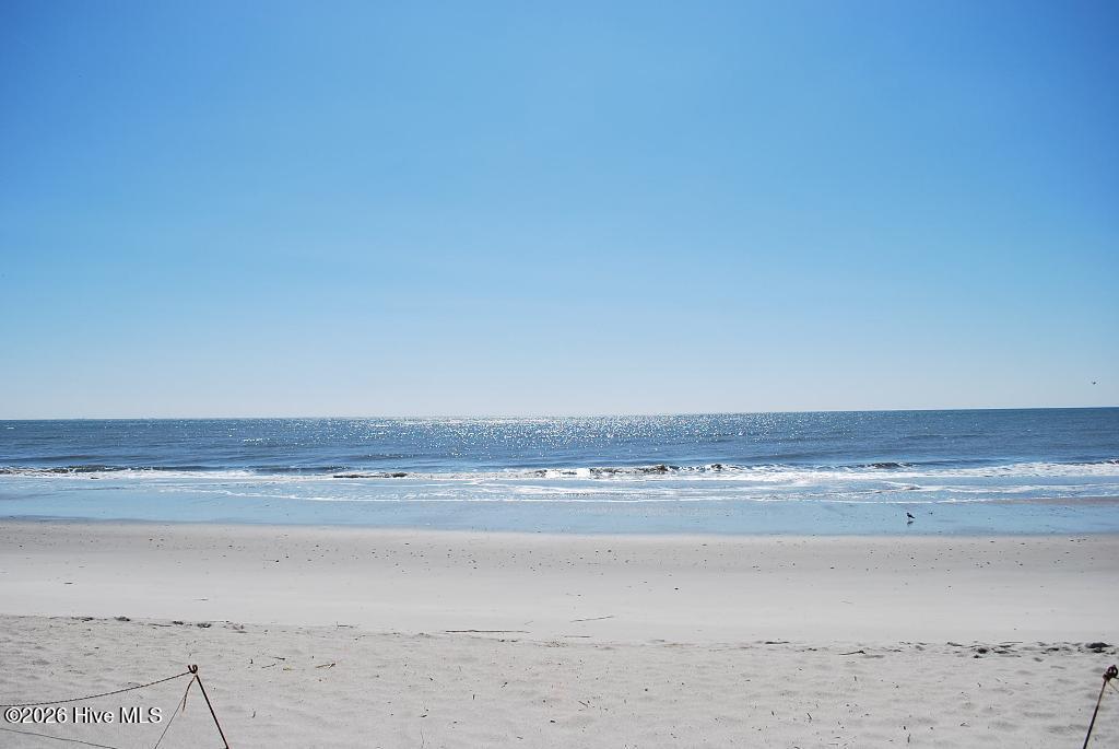 100556789 | Photo 29