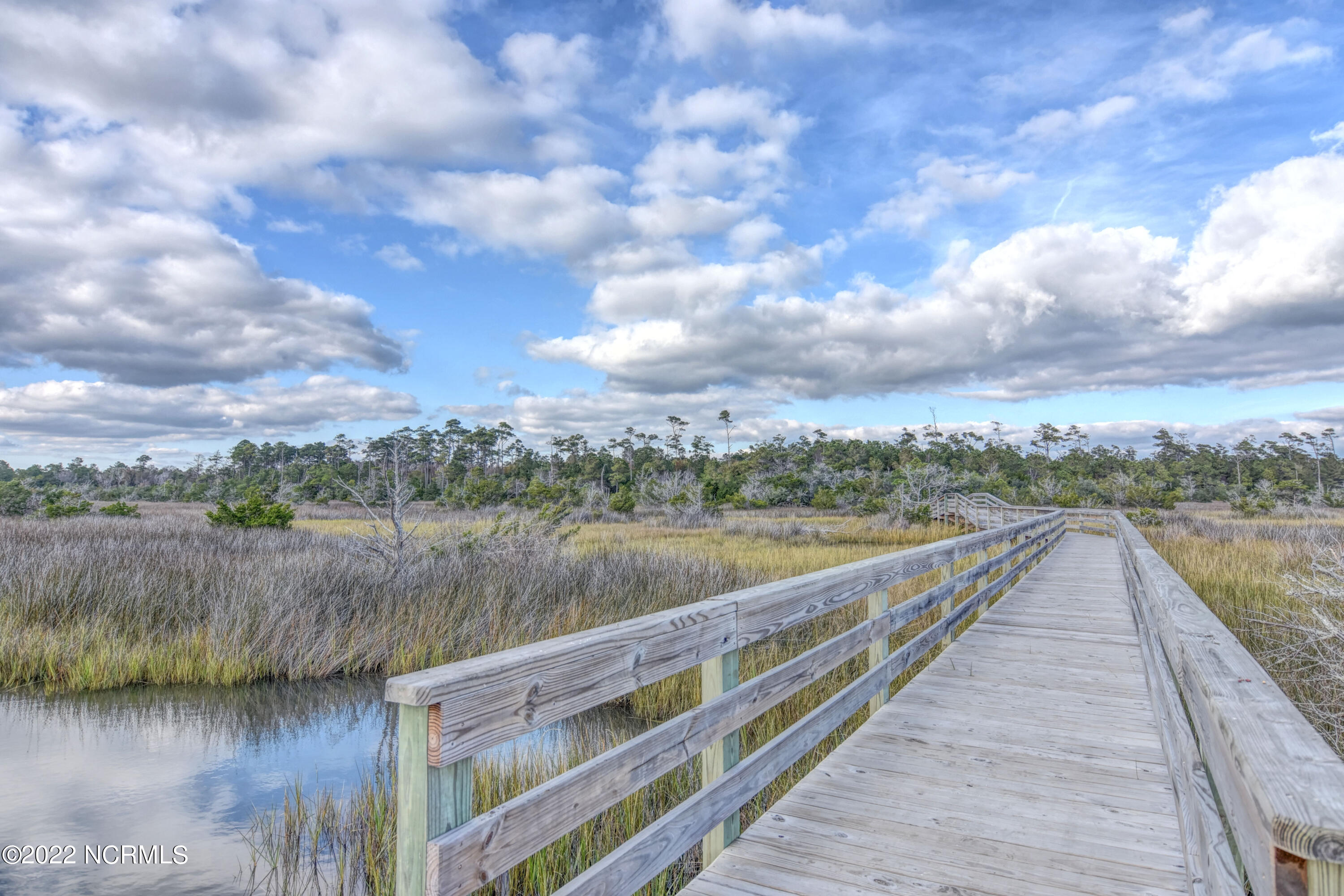 100523727 | Photo 22