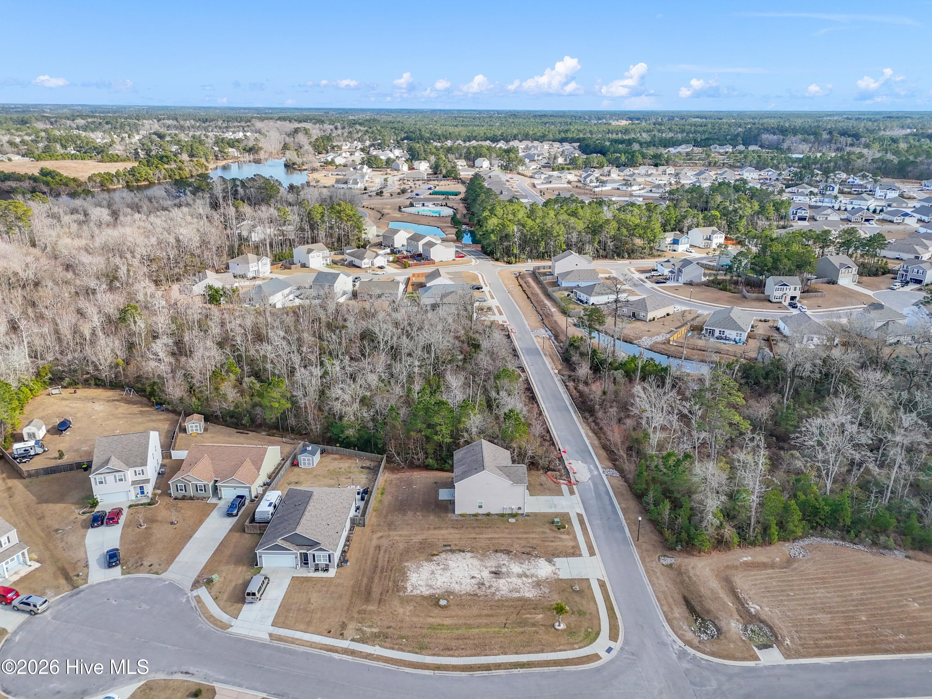 100551003 | Photo 15