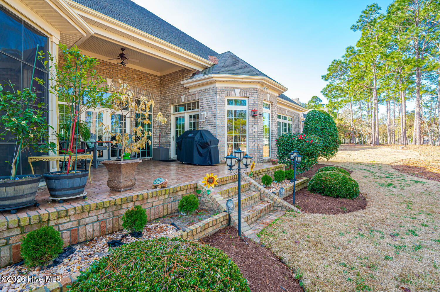 100560123 | Photo 59