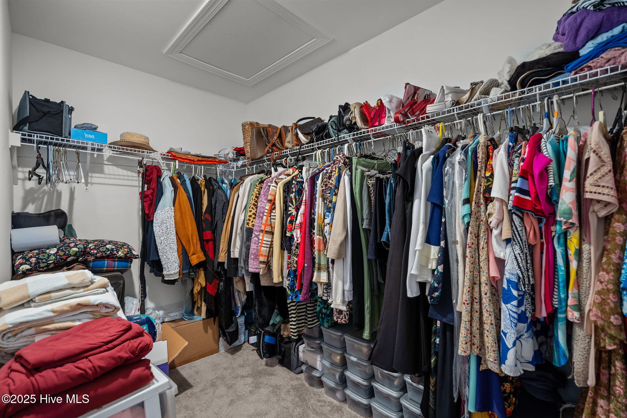 100539451 | Photo 24