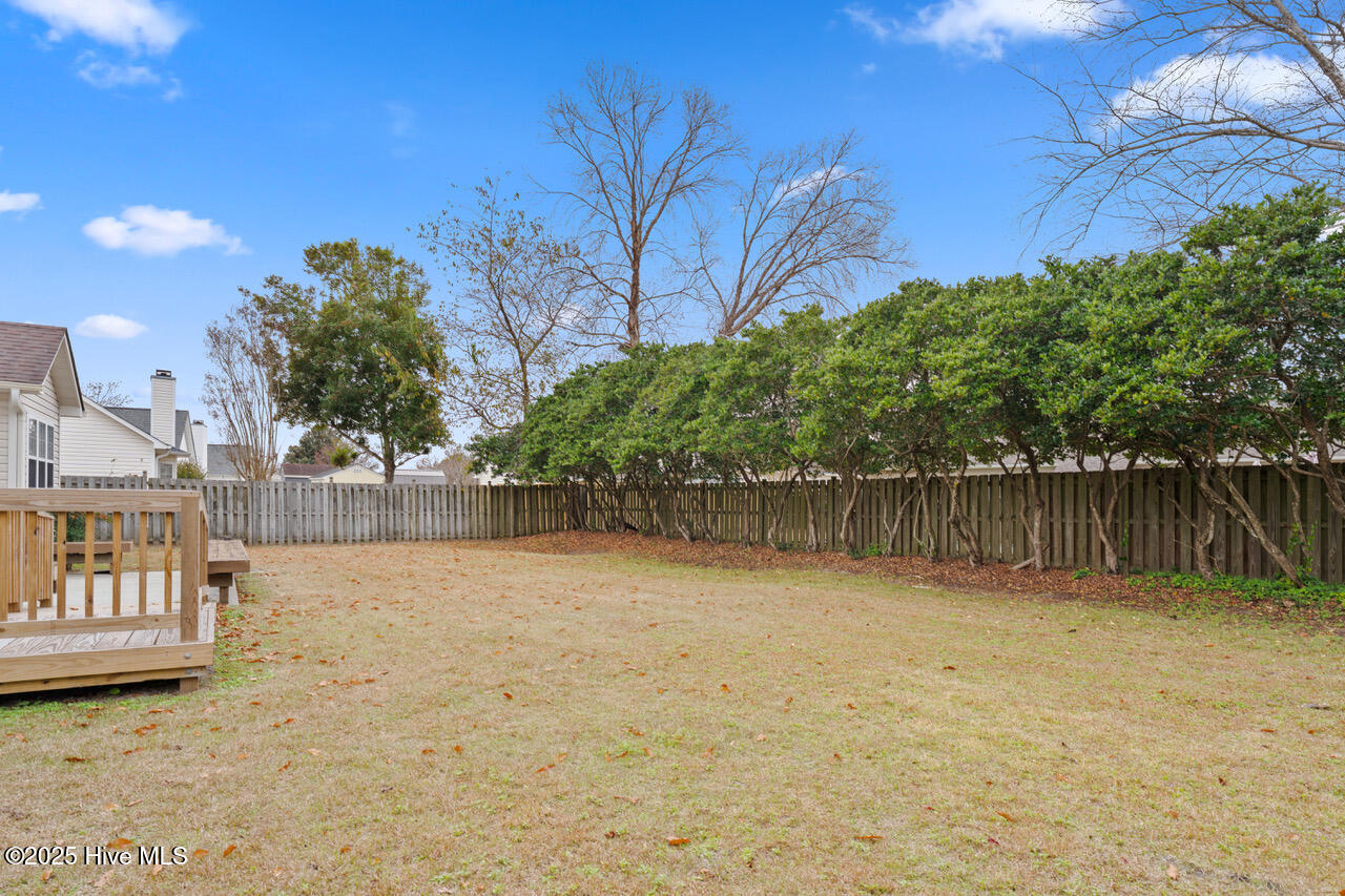 100545454 | Photo 34