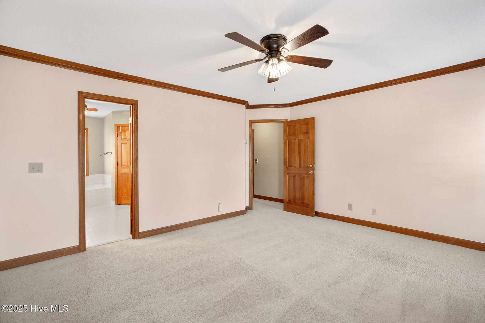 100541648 | Photo 24