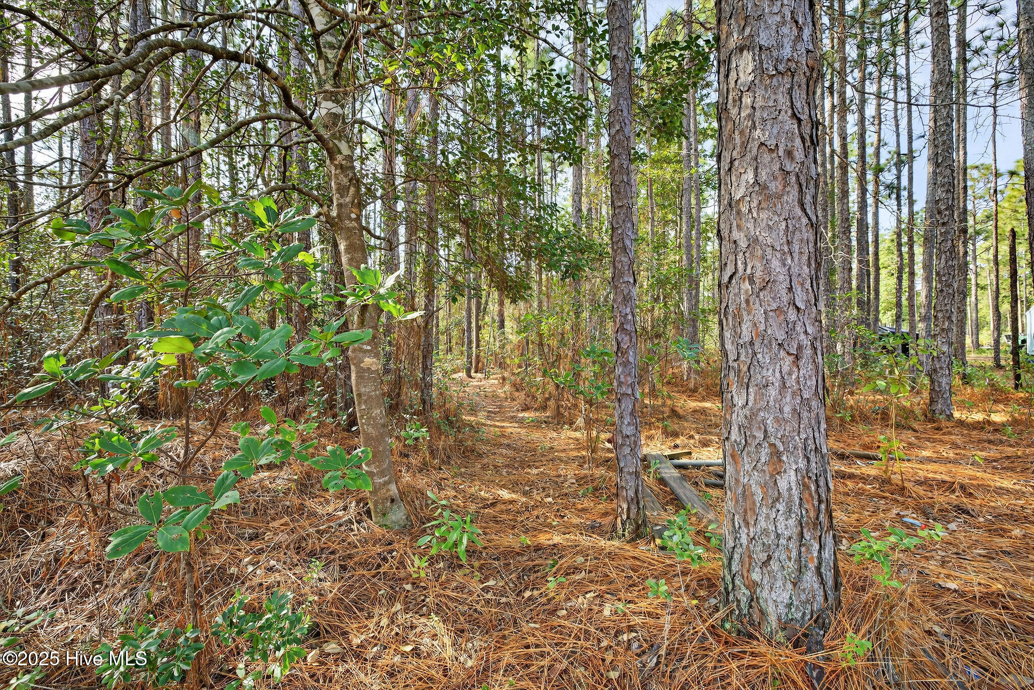 100544256 | Photo 30