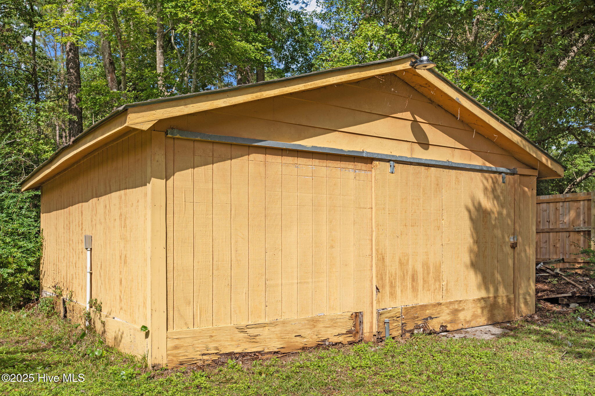 100534081 | Photo 56