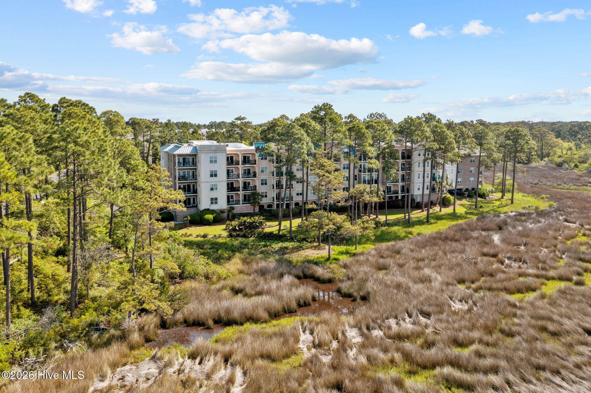 100558895 | Photo 91