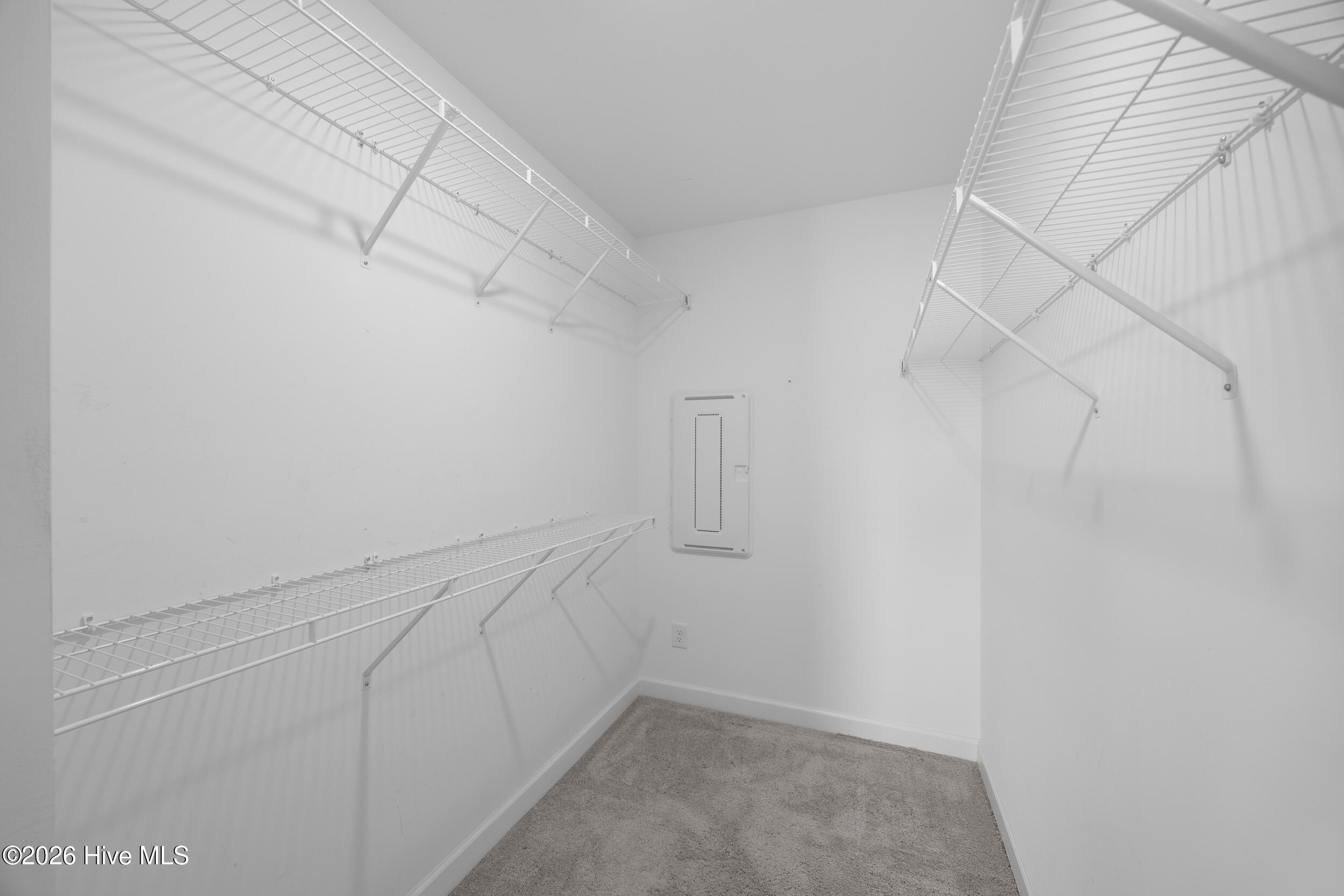 100569067 | Photo 16