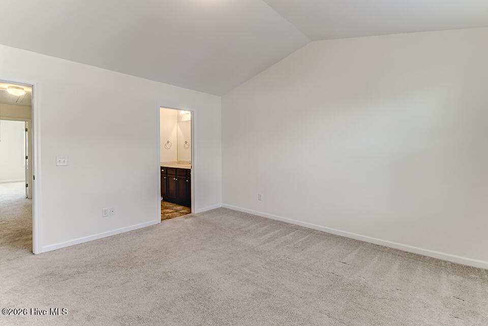 100559193 | Photo 15