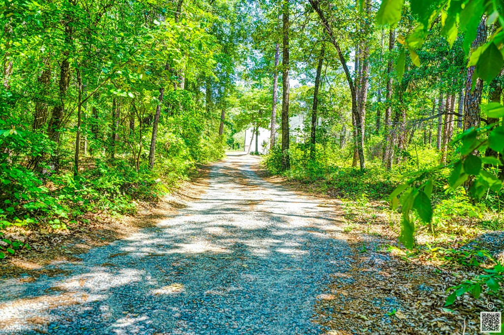 4669 Rollins Road, Augusta, GA 30906 Listing Photo  3